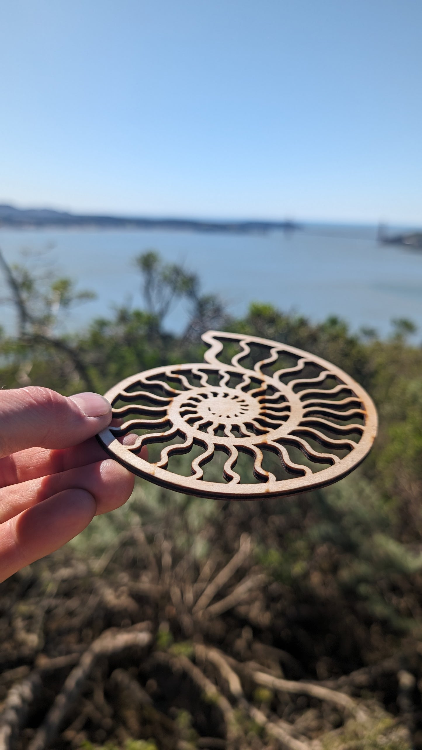 Ammonite Lasercut Wood Wall Art or Crystal Grid - Nautilus Spiral Shell in Poplar Craft Plywood