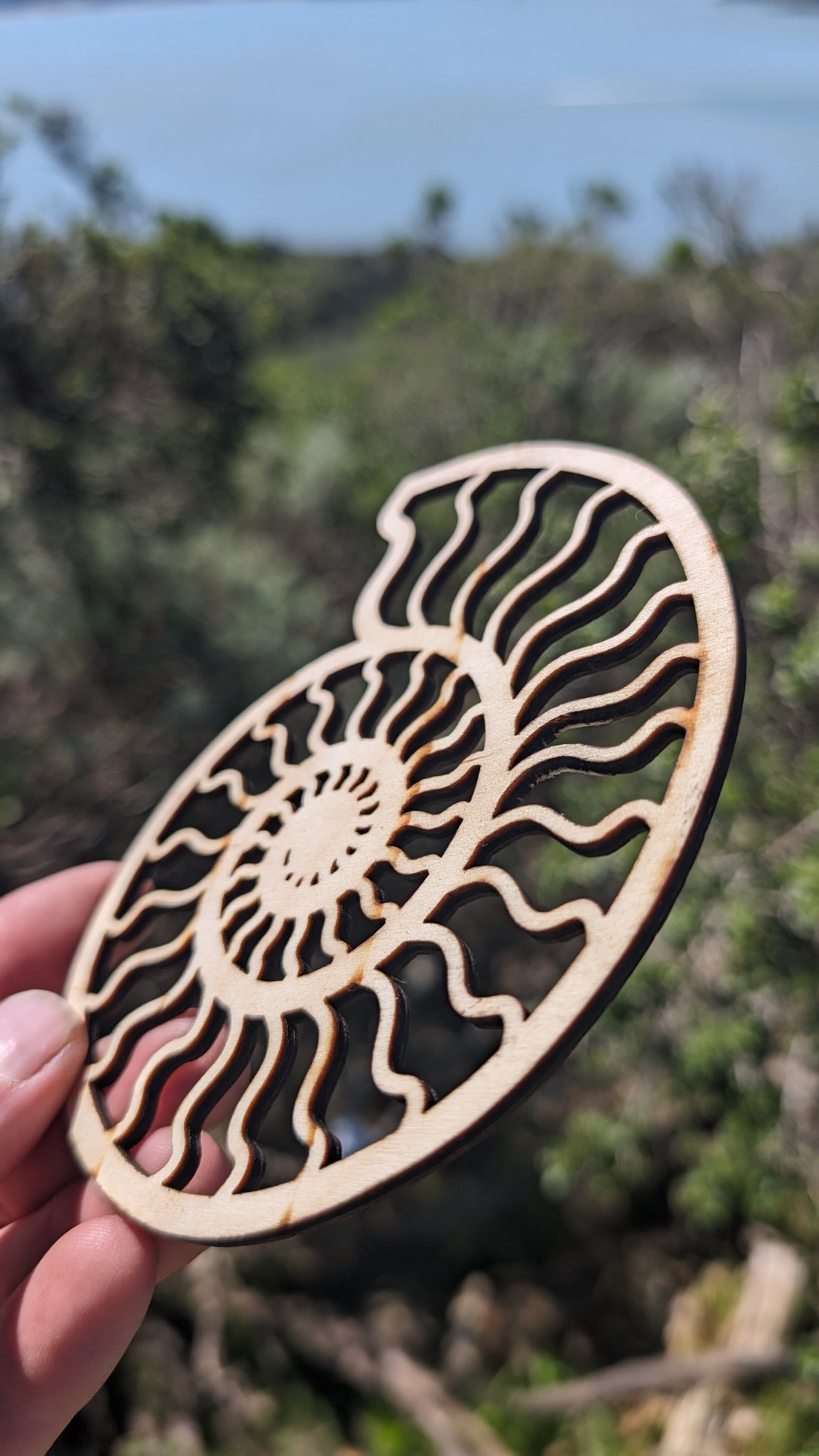 Ammonite Lasercut Wood Wall Art or Crystal Grid - Nautilus Spiral Shell in Poplar Craft Plywood