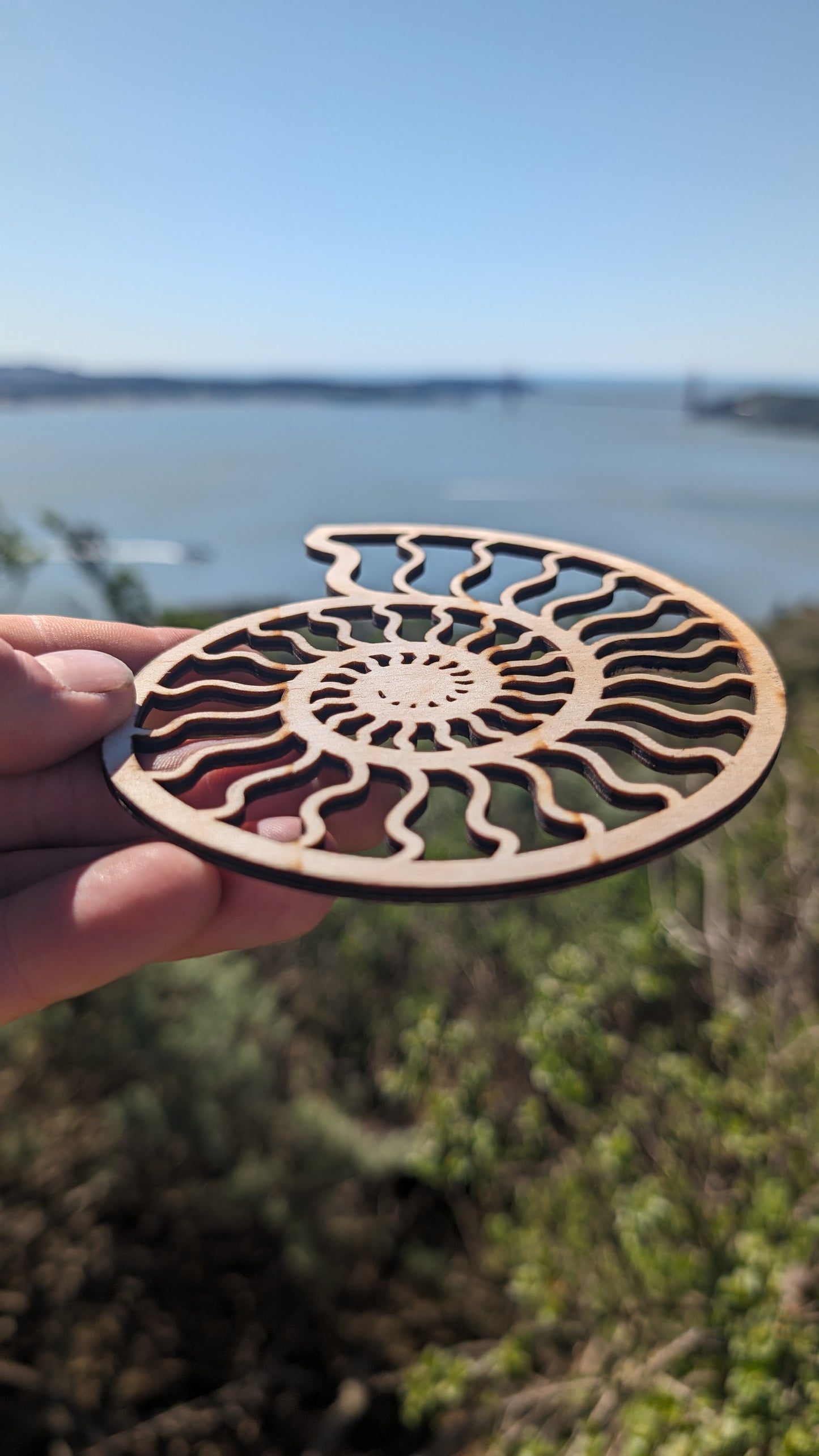 Ammonite Lasercut Wood Wall Art or Crystal Grid - Nautilus Spiral Shell in Poplar Craft Plywood