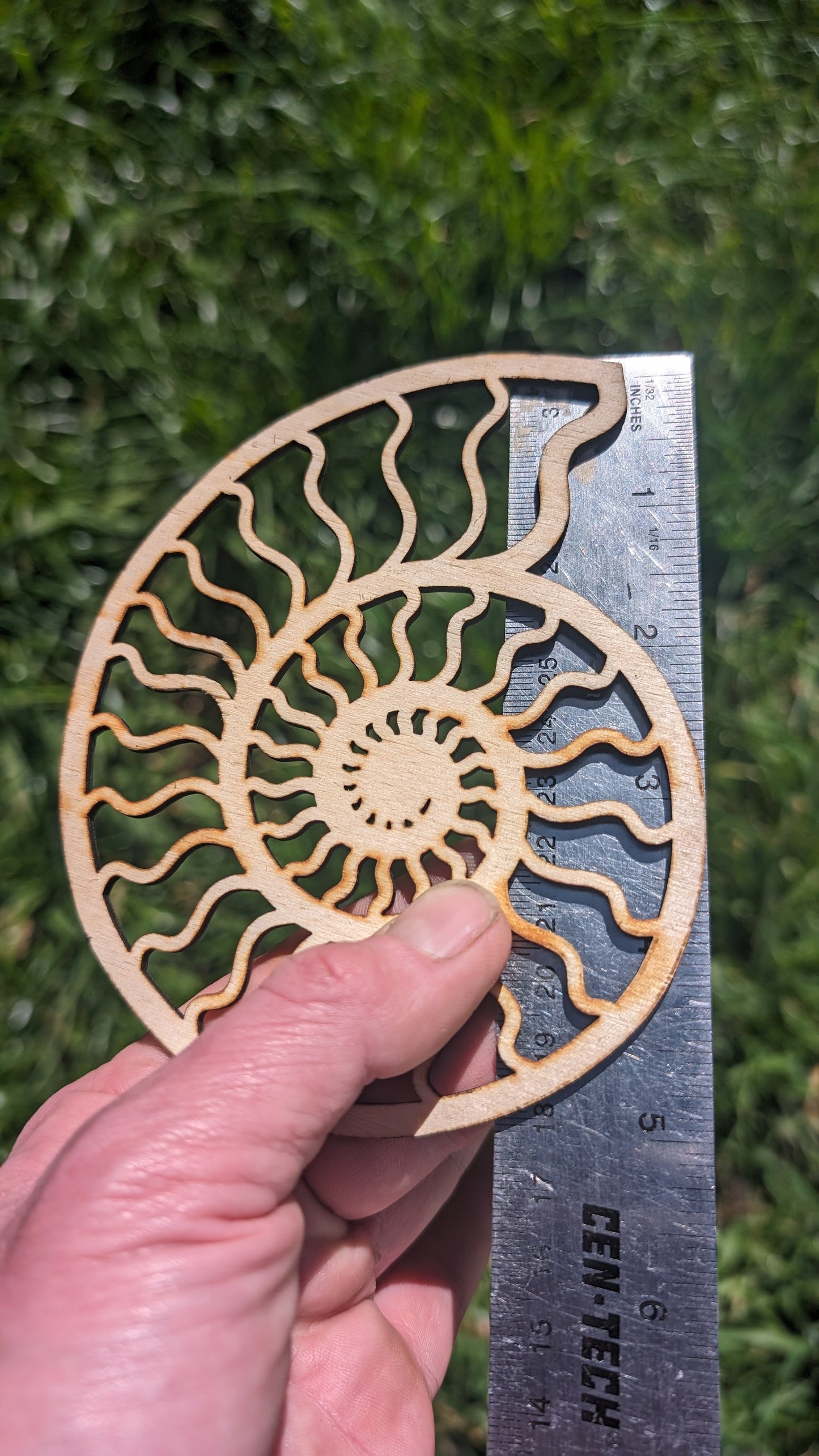 Ammonite Lasercut Wood Wall Art or Crystal Grid - Nautilus Spiral Shell in Poplar Craft Plywood
