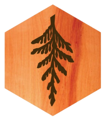 Biomorphics logo