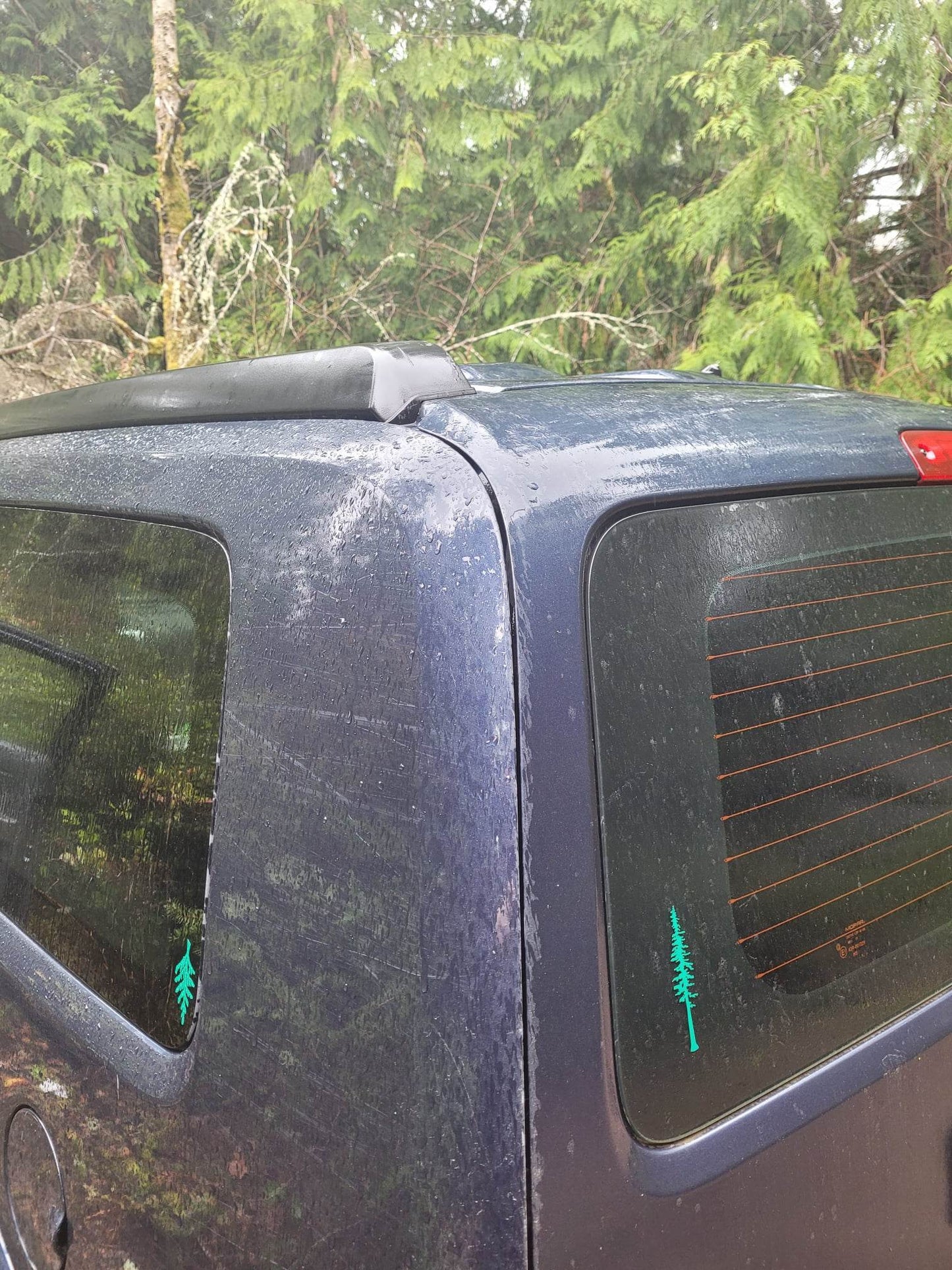 Redwood Tree Cut Vinyl Sticker/Decal