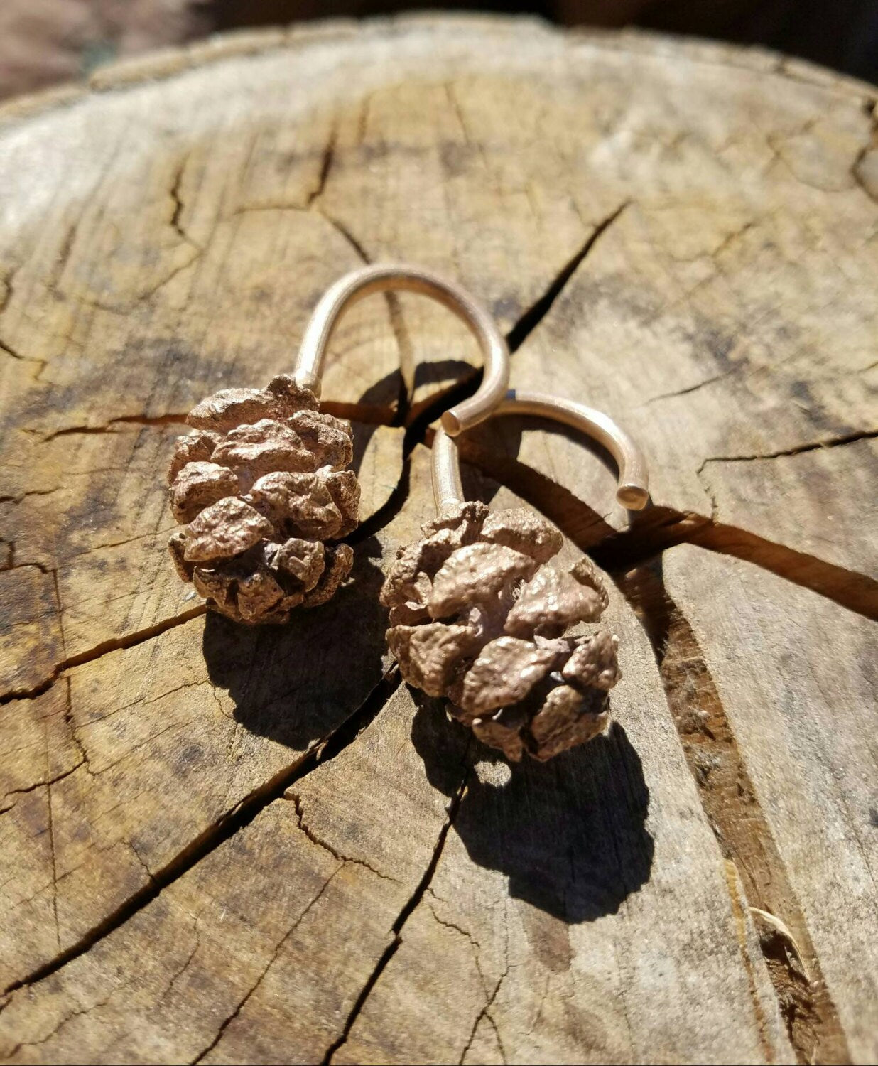 SALE - Redwood Cone Cast Bronze Ear Weights