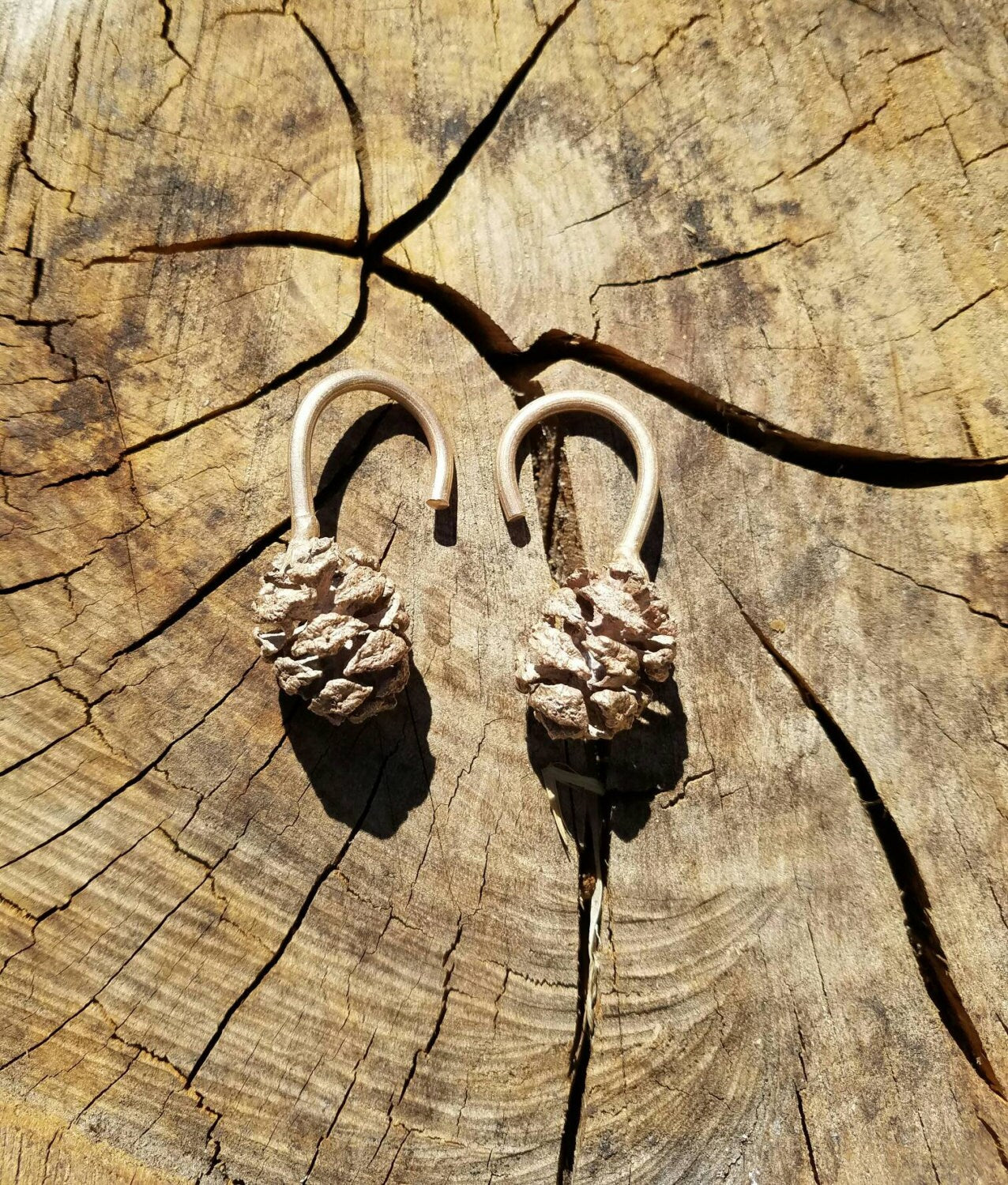 SALE - Redwood Cone Cast Bronze Ear Weights
