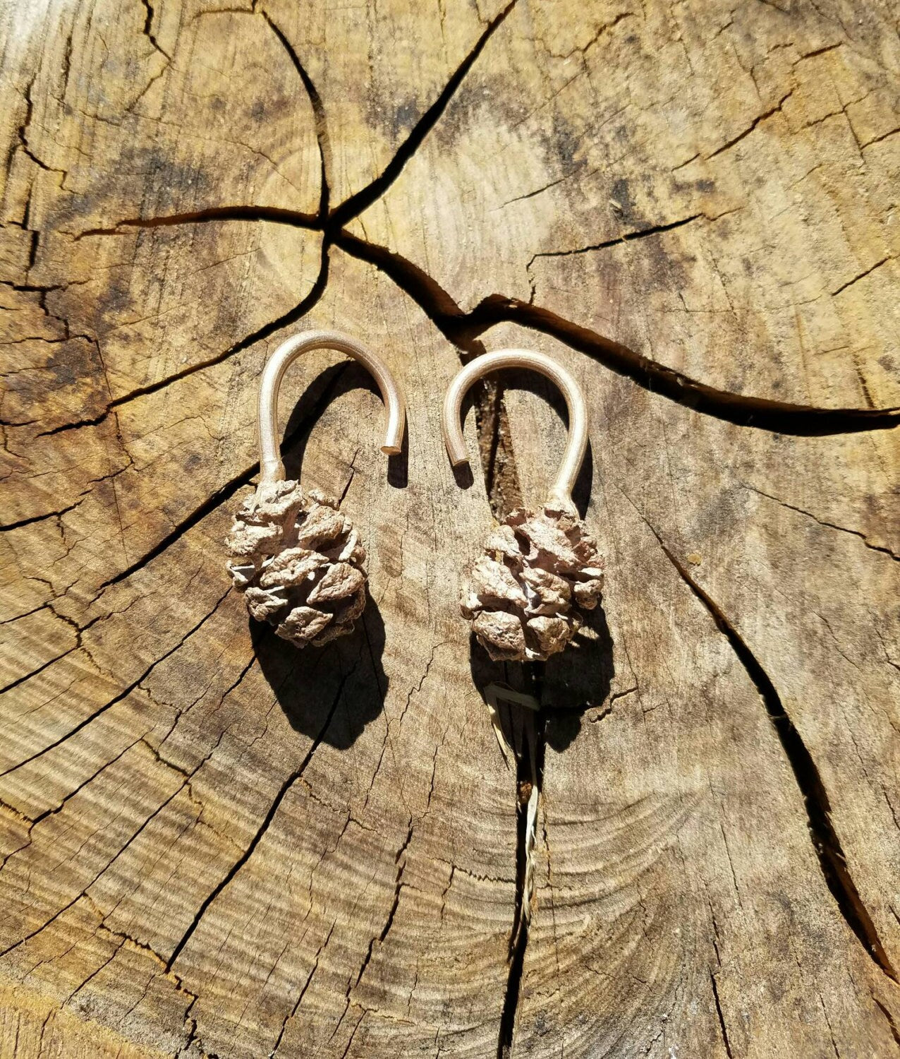 Redwood Cone Cast Bronze Ear Weights