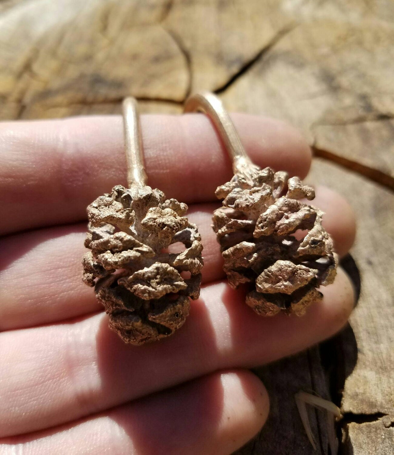 SALE - Redwood Cone Cast Bronze Ear Weights