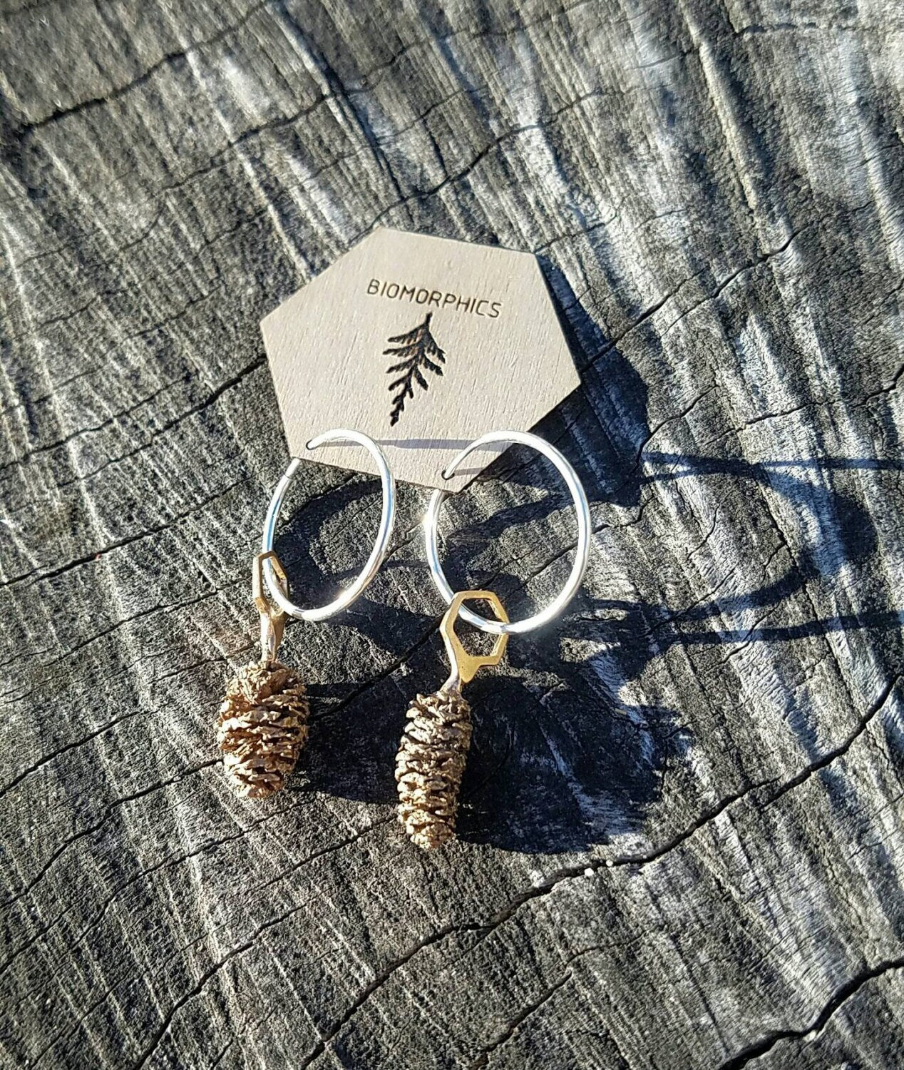 Red Alder Cone Hexagon Bronze Earrings with Sterling Silver Hoops