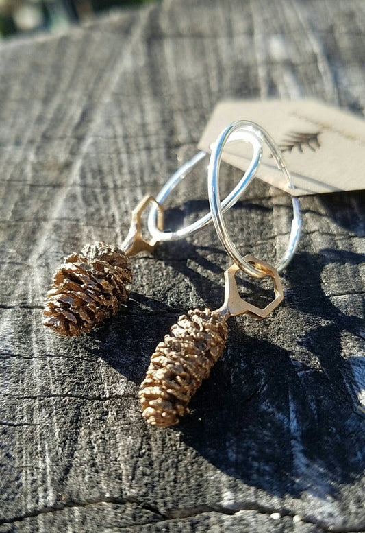 Red Alder Cone Hexagon Bronze Earrings with Sterling Silver Hoops