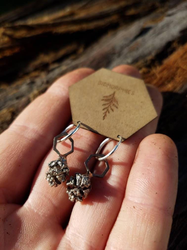 SALE - Redwood Cone Hexagon Earrings in Cast Shibuichi and Sterling Silver