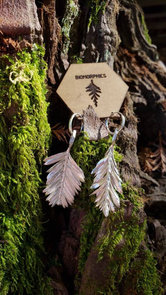 Redwood Leaf and Hexagon Cast Sterling Silver Earrings - Redwood Forest Leaf Jewelry - NorCal PNW West Coast Upper Left USA