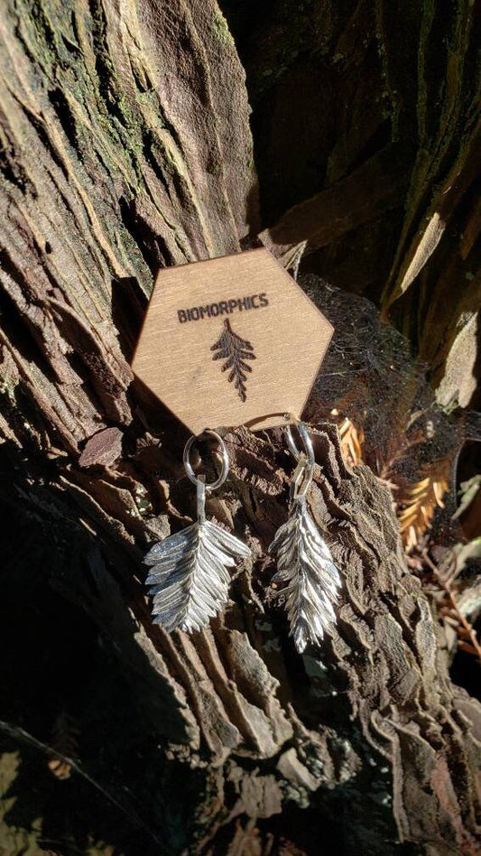 Redwood Leaf and Hexagon Cast Sterling Silver Earrings - Redwood Forest Leaf Jewelry - NorCal PNW West Coast Upper Left USA
