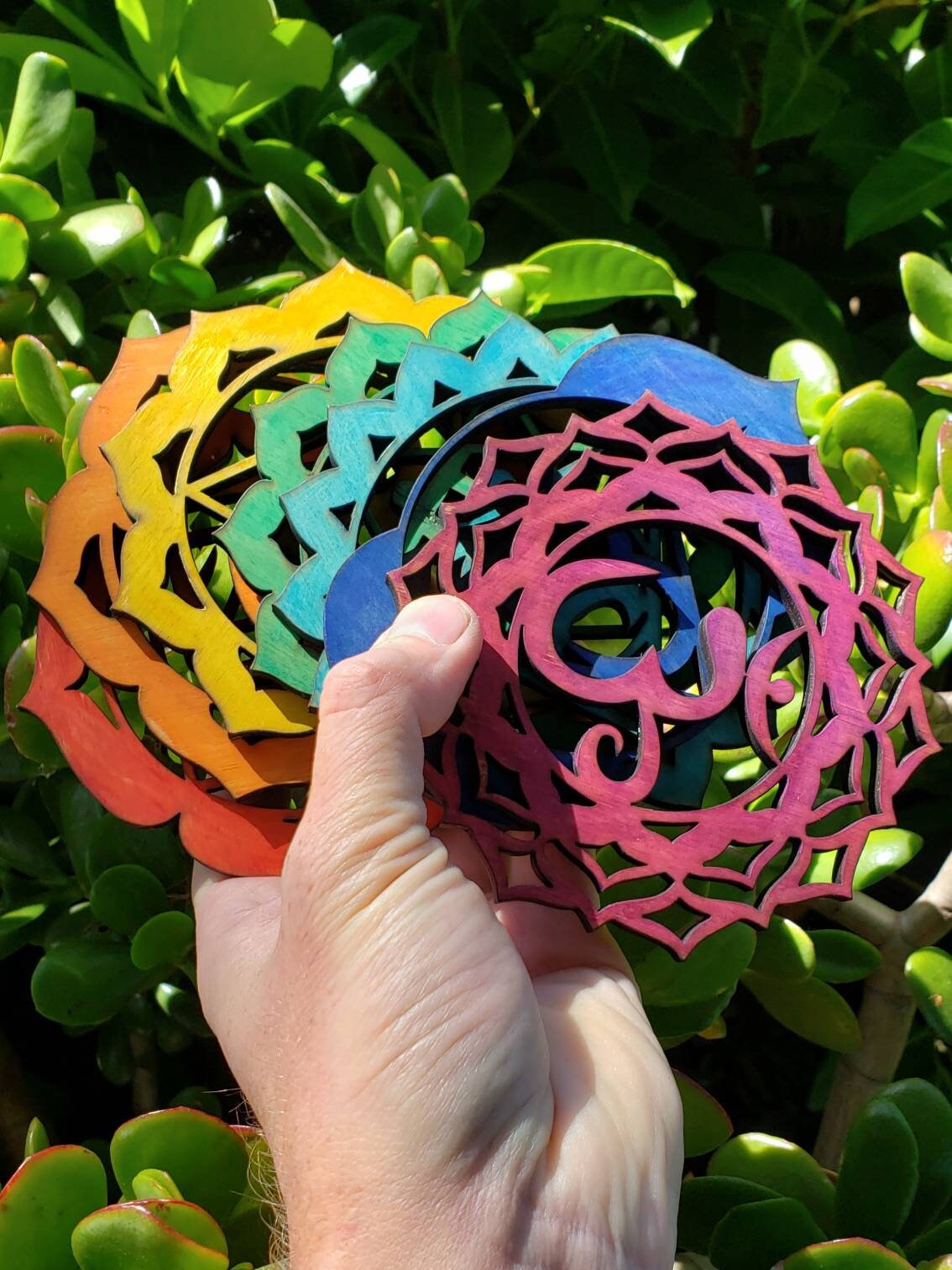 Rainbow Chakra Sustainably Grown Wood Art Set