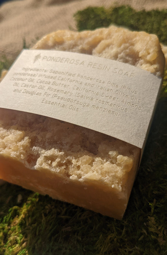 Ponderosa Pine Resin, Douglas Fir, and Rosemary Soap made with California Olive Oil - NorCal, PNW, Colorado Style Forest Soap