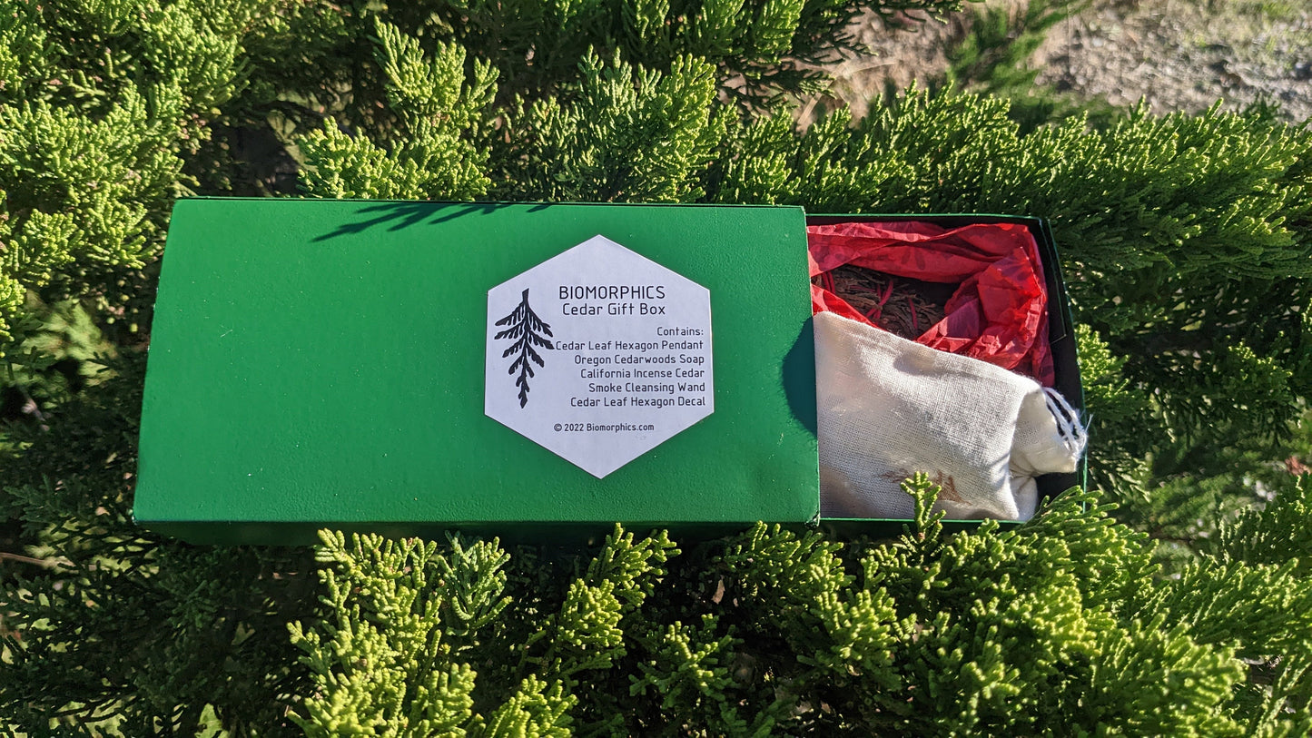 Cedar Gift Box - Includes Cast Cedar Leaf Pendant, Oregon Cedarwoods Soap, Cedar Smoke Cleansing Wand, and Cedar Leaf Hexagon Decal