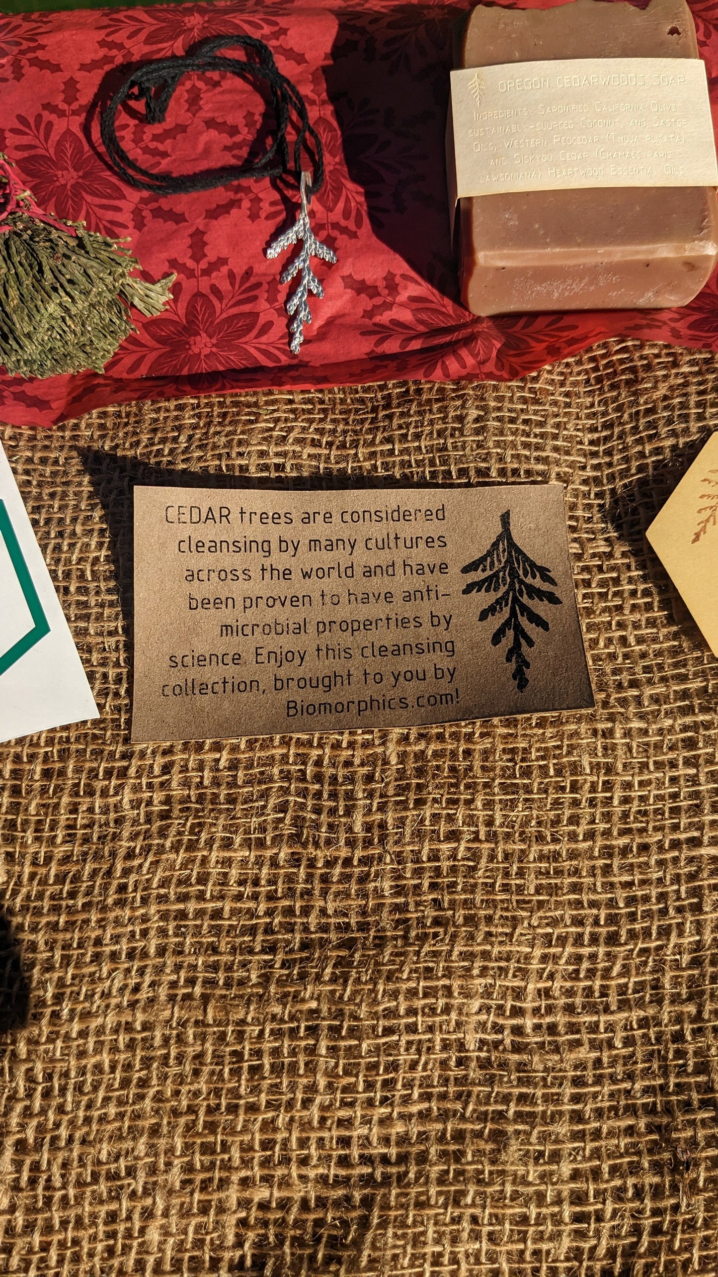 Cedar Gift Box - Includes Cast Cedar Leaf Pendant, Oregon Cedarwoods Soap, Cedar Smoke Cleansing Wand, and Cedar Leaf Hexagon Decal