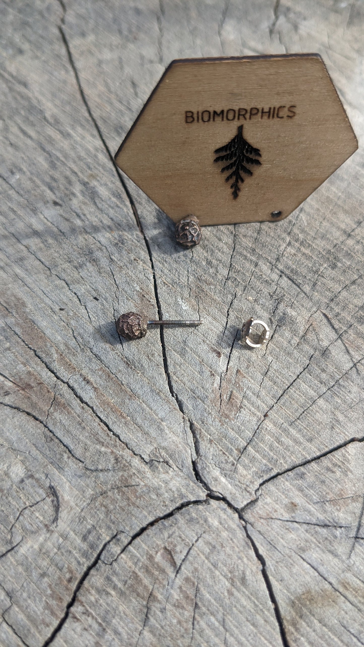 SALE - Peppercorn Stud Earrings - Mixed Metal Spice Jewelry in recycled Bronze and 925 Silver