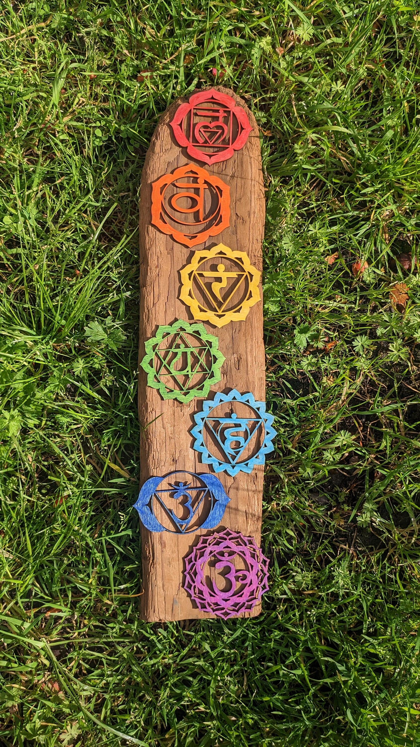 Rainbow Chakra Sustainably Grown Wood Art Set