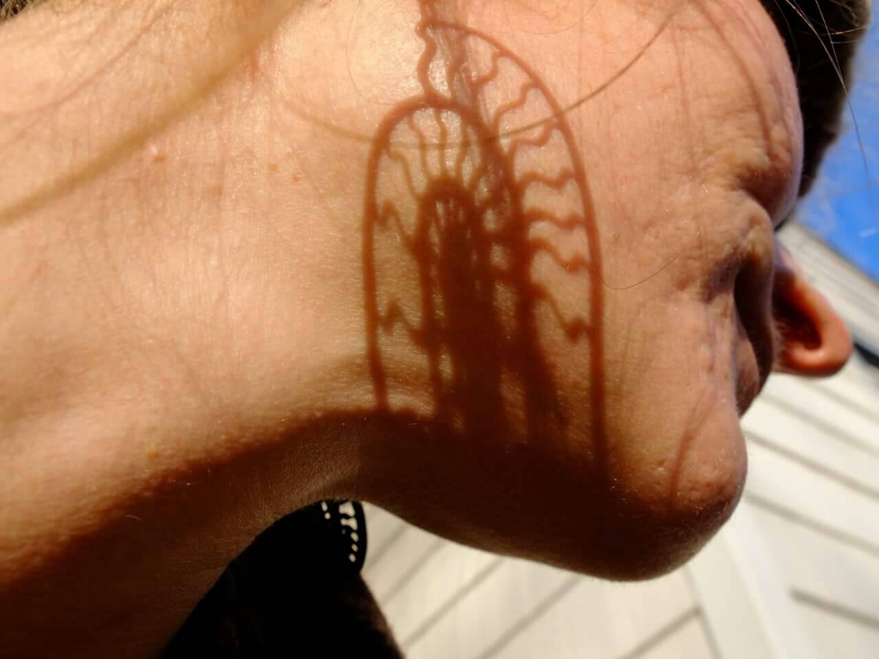 Ammonite Lasercut Wood Earrings - Nautilus