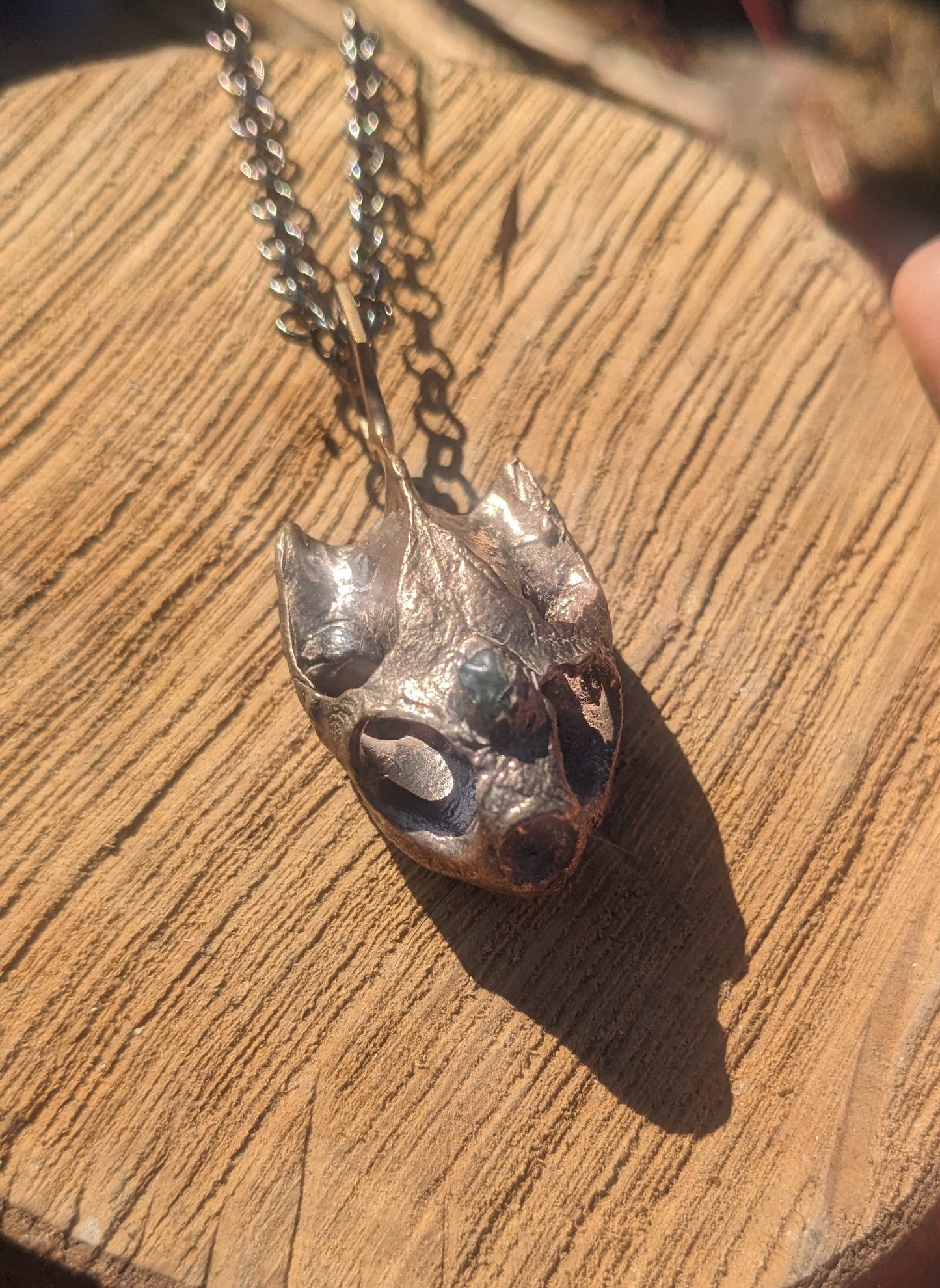 SALE - Western Pond Turtle Skull Hexagon Pendant with Montana Sapphire Pendant in Bronze - Cast in Place Third Eye Crystal Talisman