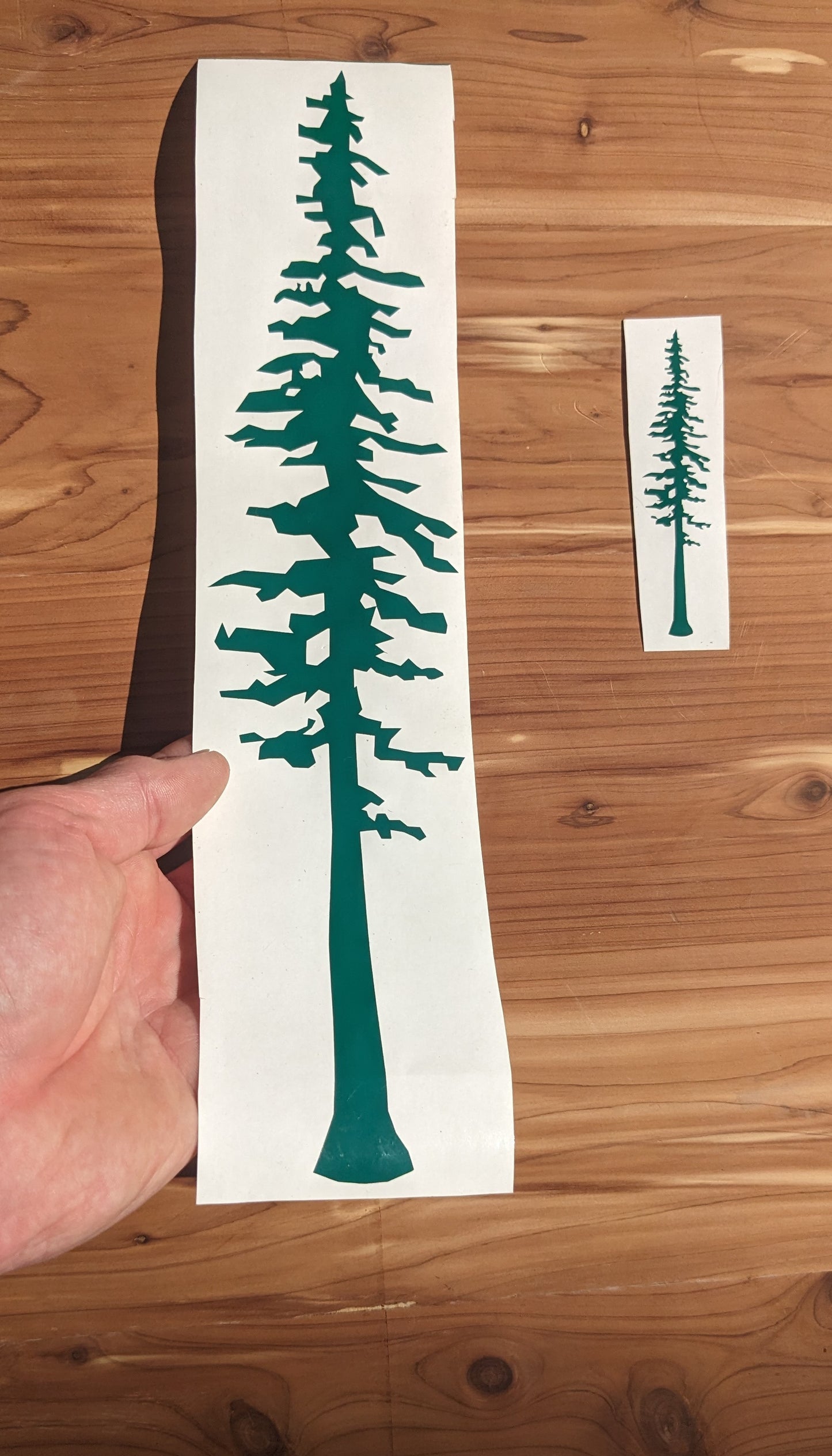 Redwood Tree Cut Vinyl Sticker/Decal