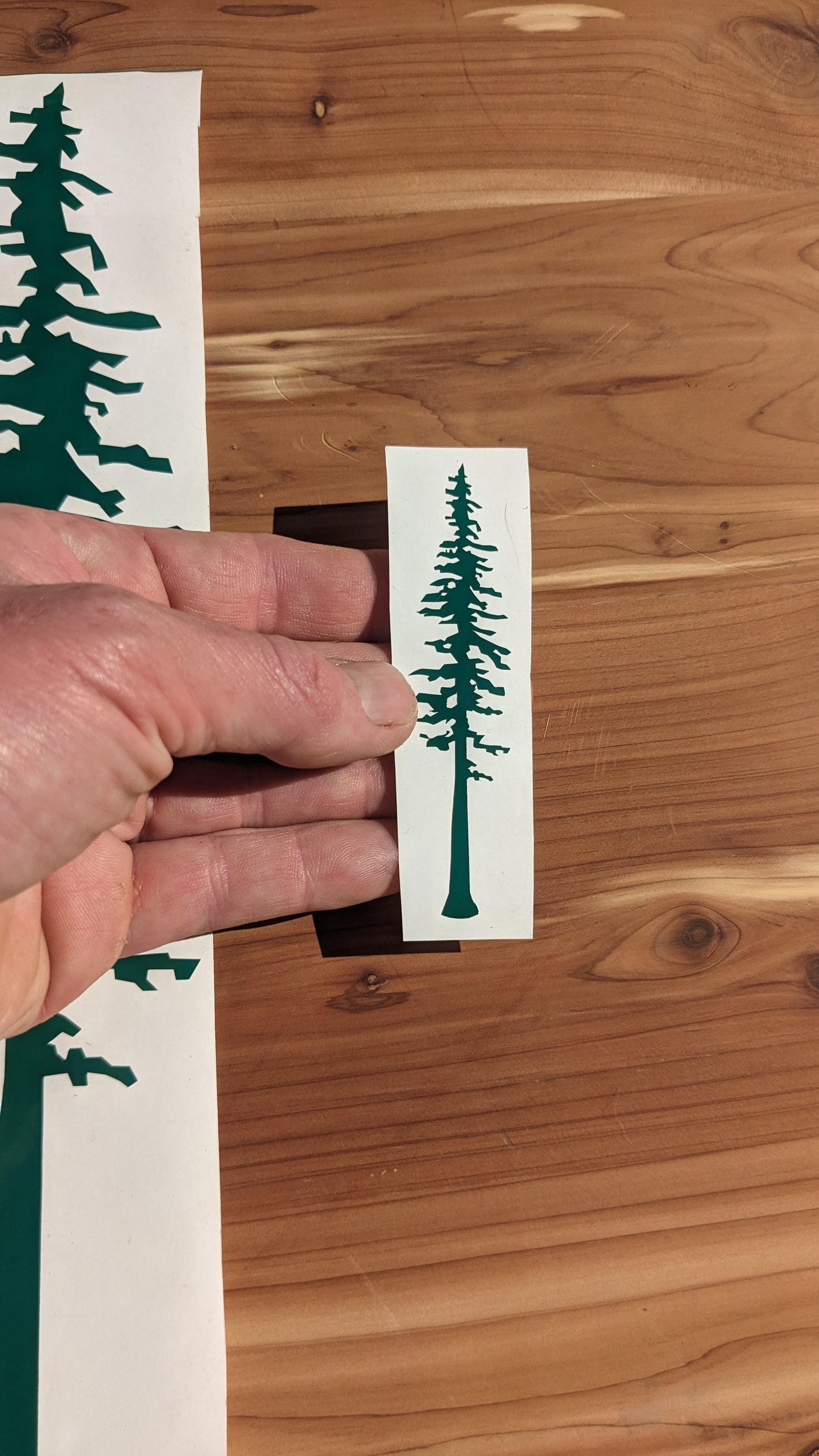 Redwood Tree Cut Vinyl Sticker/Decal