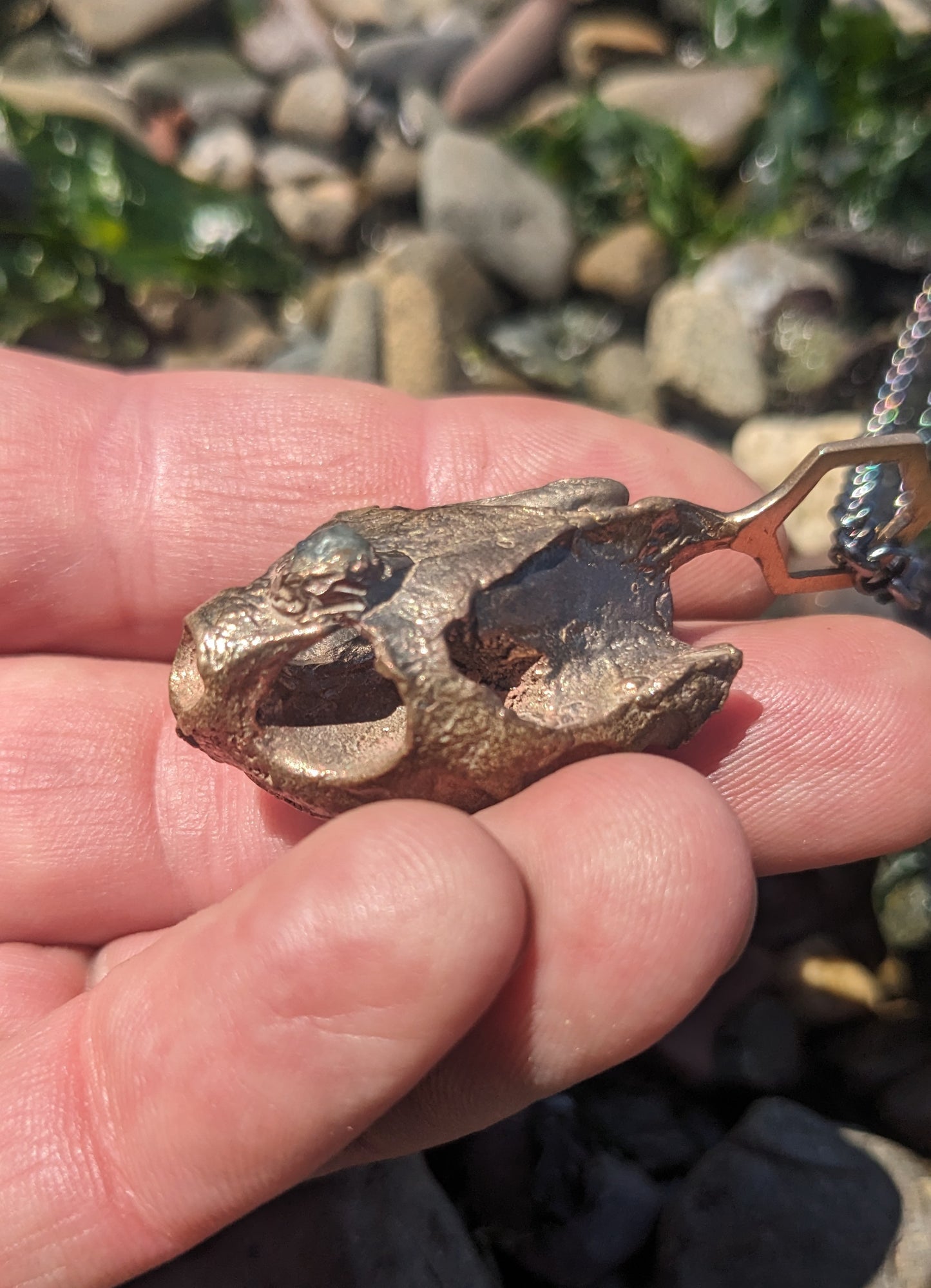 SALE - Western Pond Turtle Skull Hexagon Pendant with Montana Sapphire Pendant in Bronze - Cast in Place Third Eye Crystal Talisman