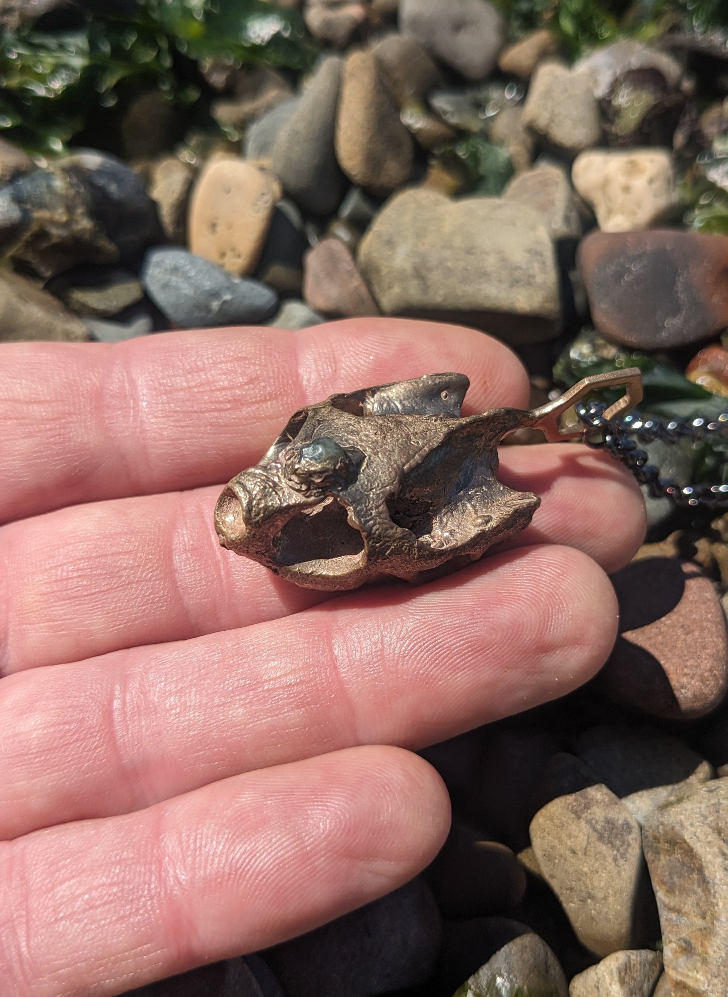 SALE - Western Pond Turtle Skull Hexagon Pendant with Montana Sapphire Pendant in Bronze - Cast in Place Third Eye Crystal Talisman