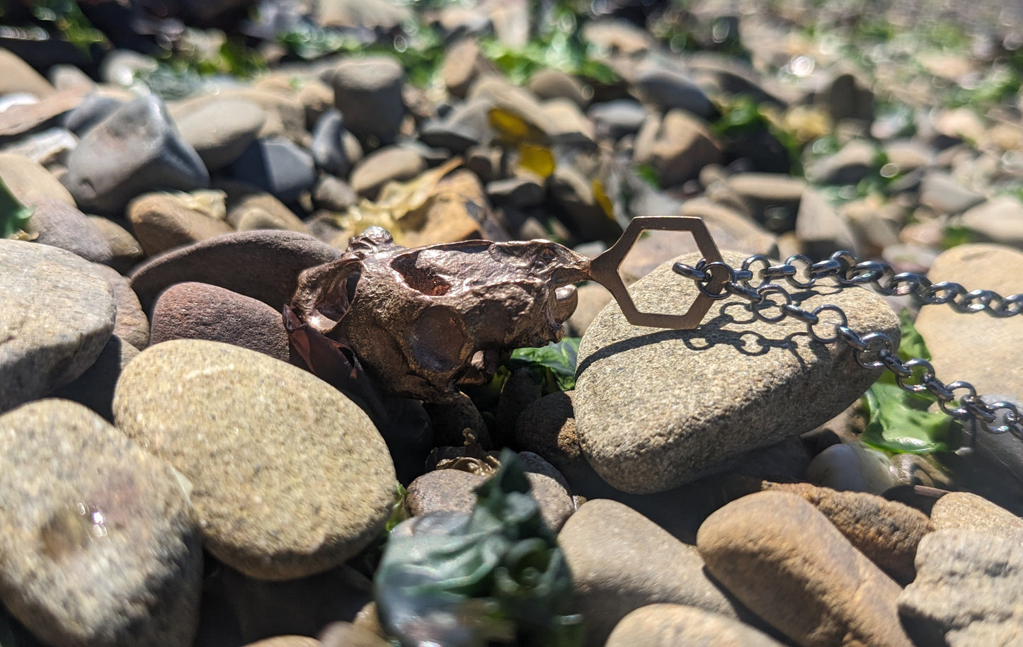 SALE - Western Pond Turtle Skull Hexagon Pendant with Montana Sapphire Pendant in Bronze - Cast in Place Third Eye Crystal Talisman