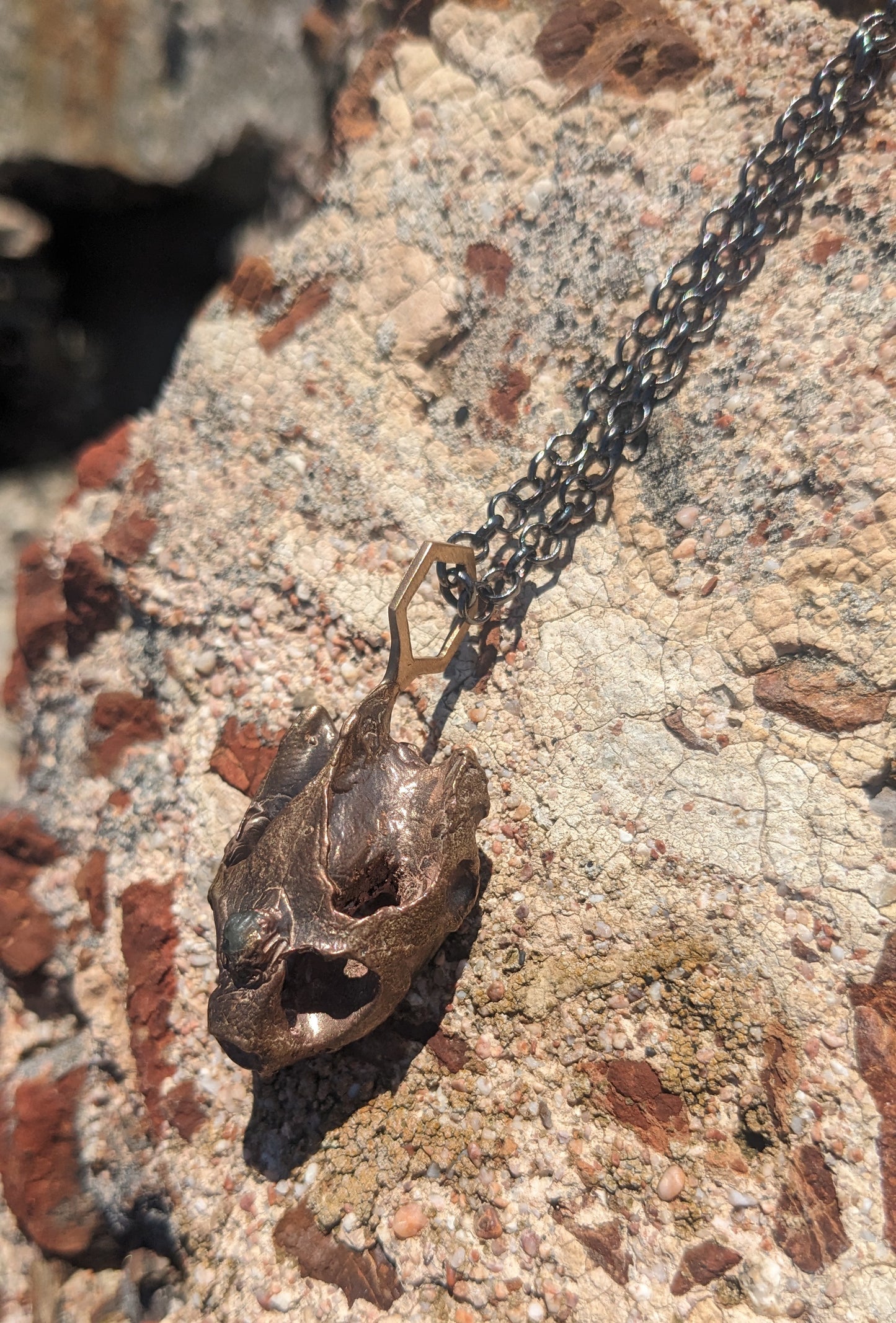 SALE - Western Pond Turtle Skull Hexagon Pendant with Montana Sapphire Pendant in Bronze - Cast in Place Third Eye Crystal Talisman