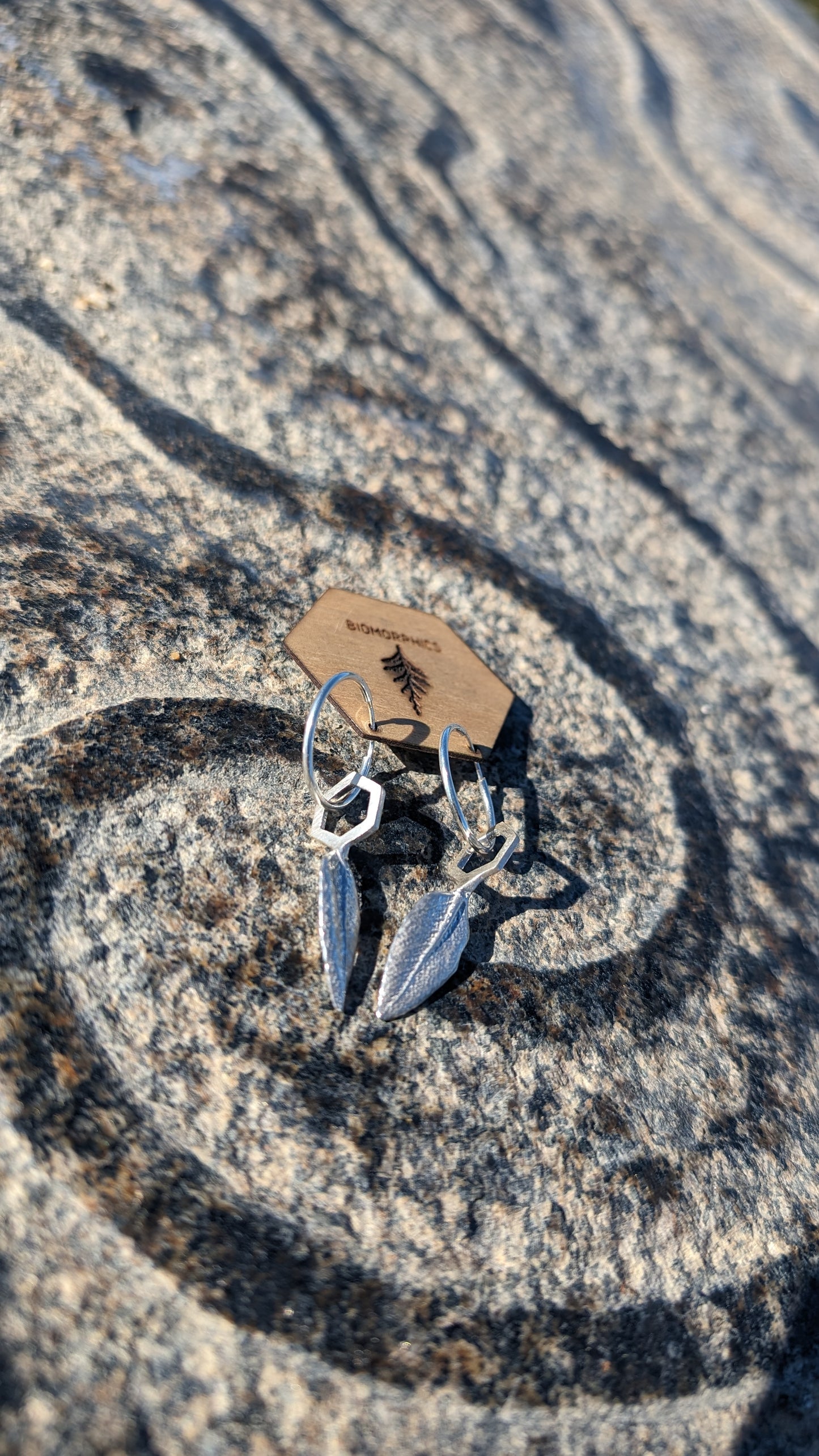 SALE - White Sage Leaf Hexagon Earrings in Recycled 925 Silver with Endless Hoops