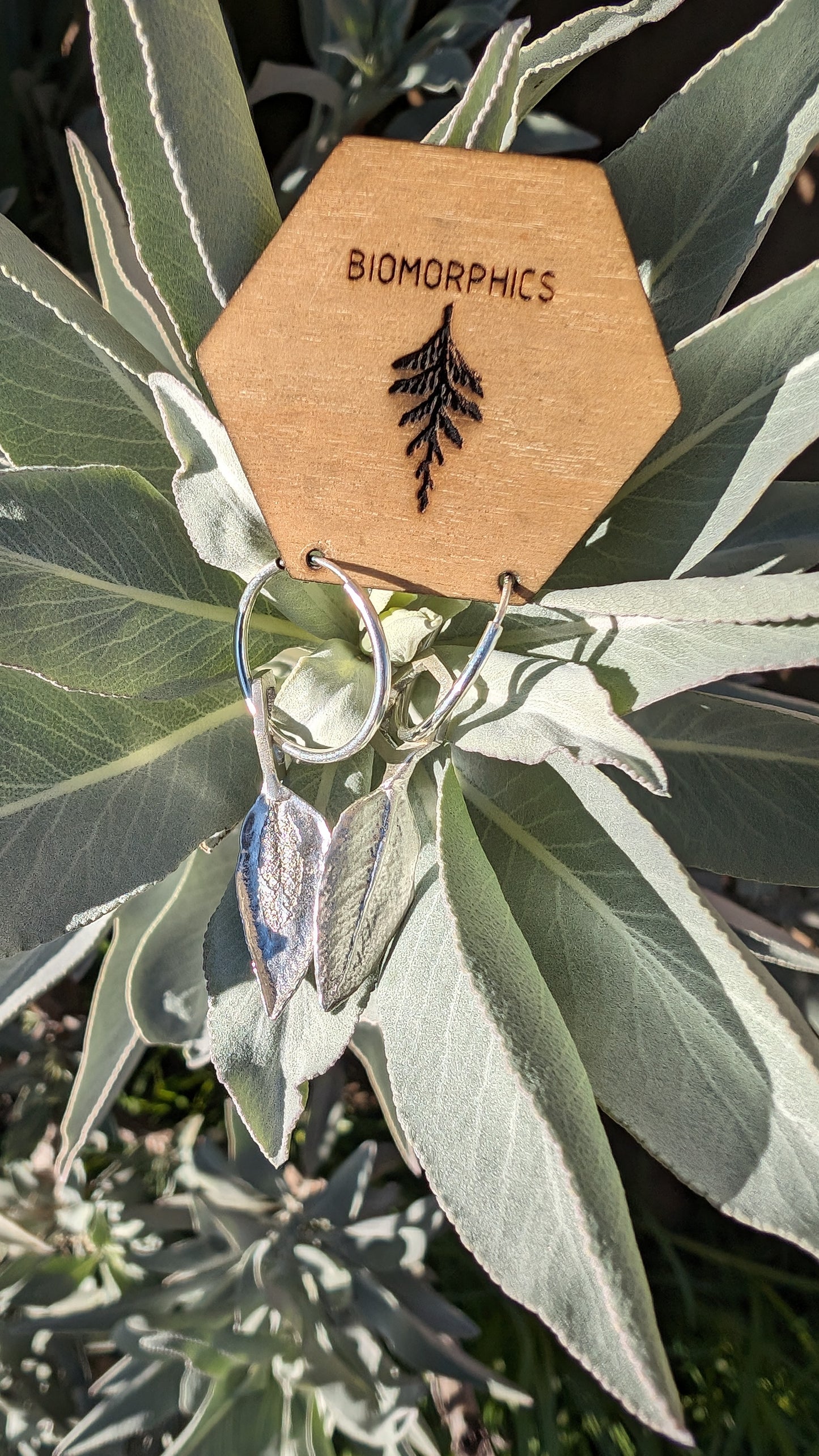 SALE - White Sage Leaf Hexagon Earrings in Recycled 925 Silver with Endless Hoops