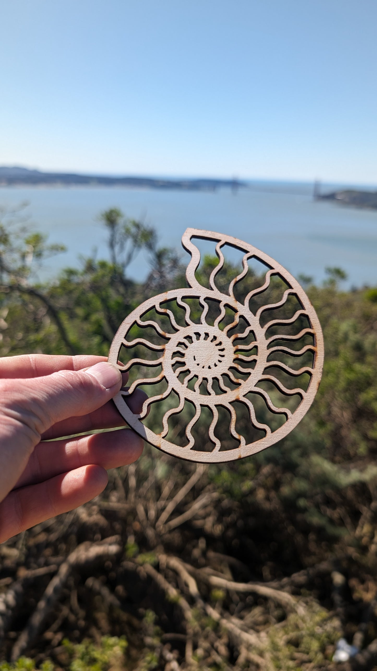 Ammonite Lasercut Wood Wall Art or Crystal Grid - Nautilus Spiral Shell in Poplar Craft Plywood