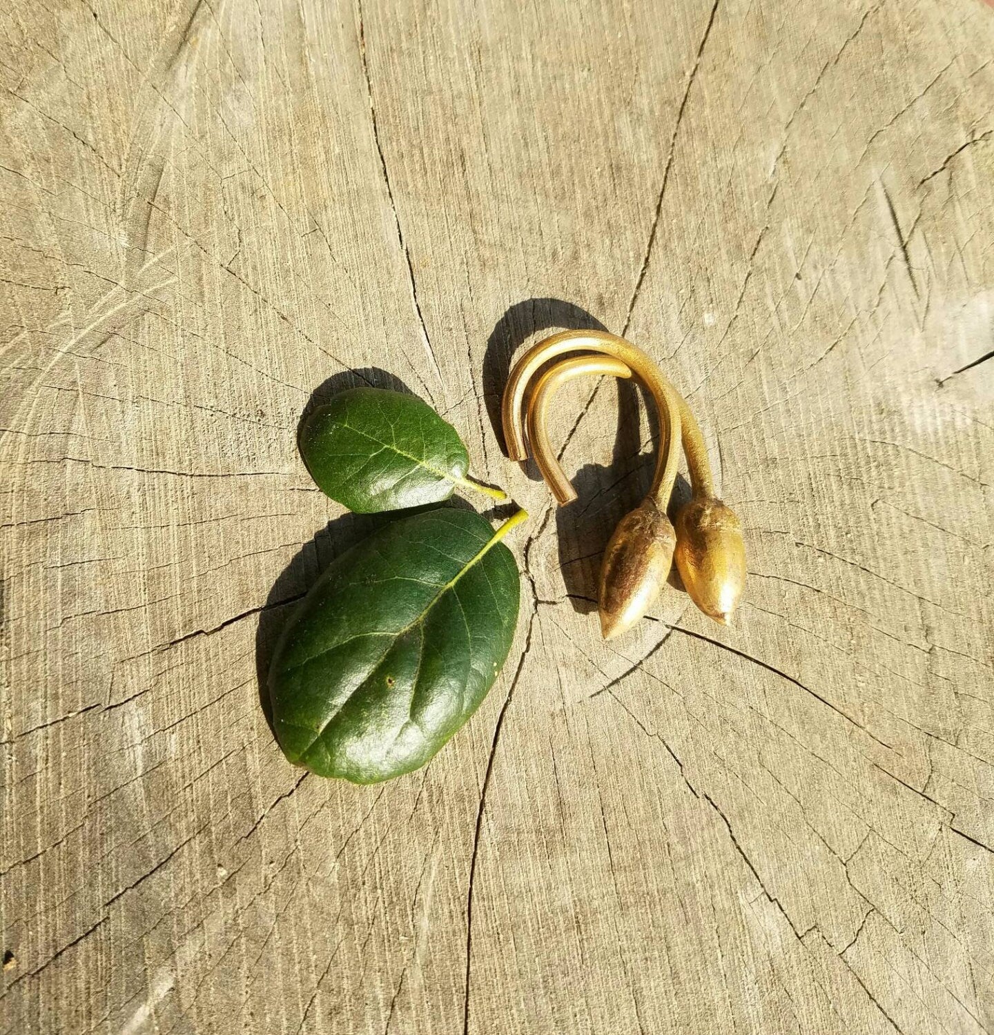 SALE - California Coast Live Oak Acorn Cast Bronze Ear Weights