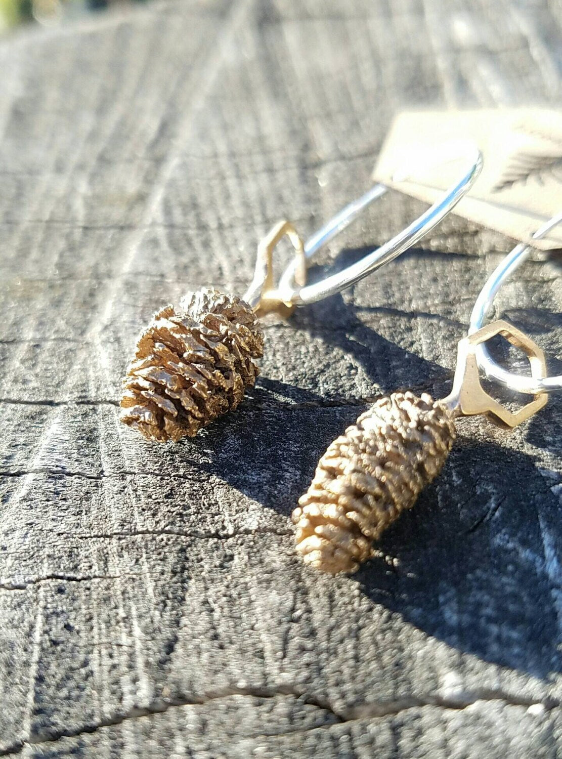 Red Alder Cone Hexagon Bronze Earrings with Sterling Silver Hoops