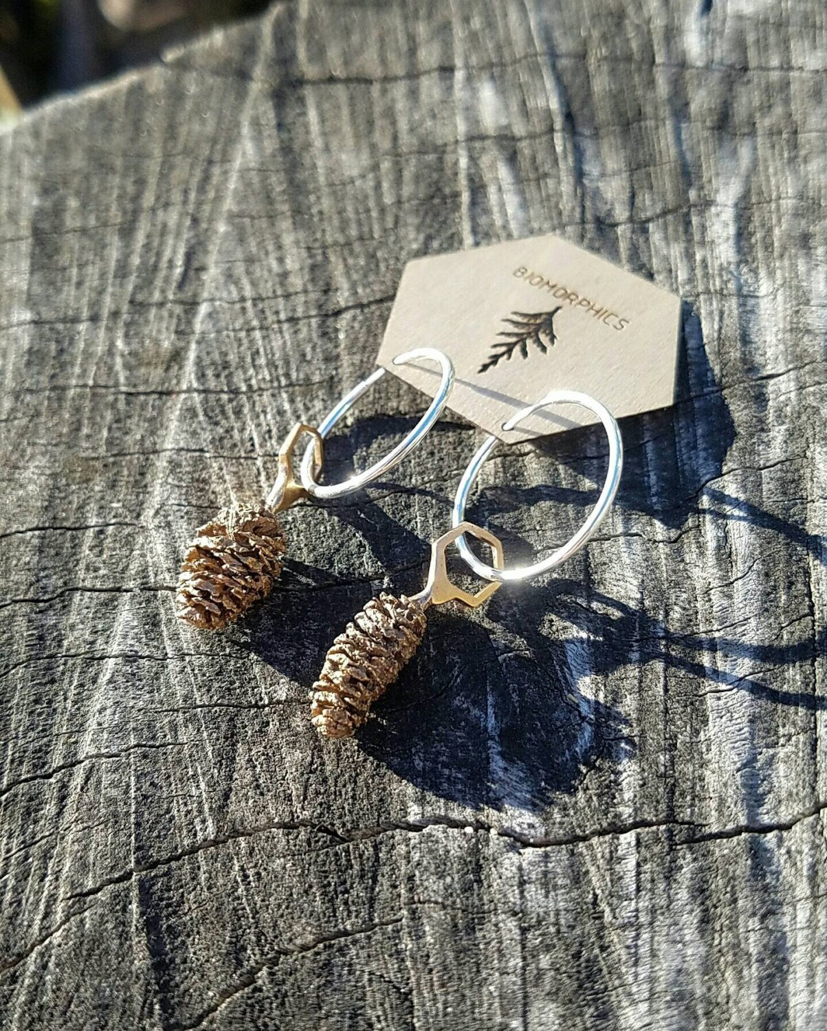 Red Alder Cone Hexagon Bronze Earrings with Sterling Silver Hoops