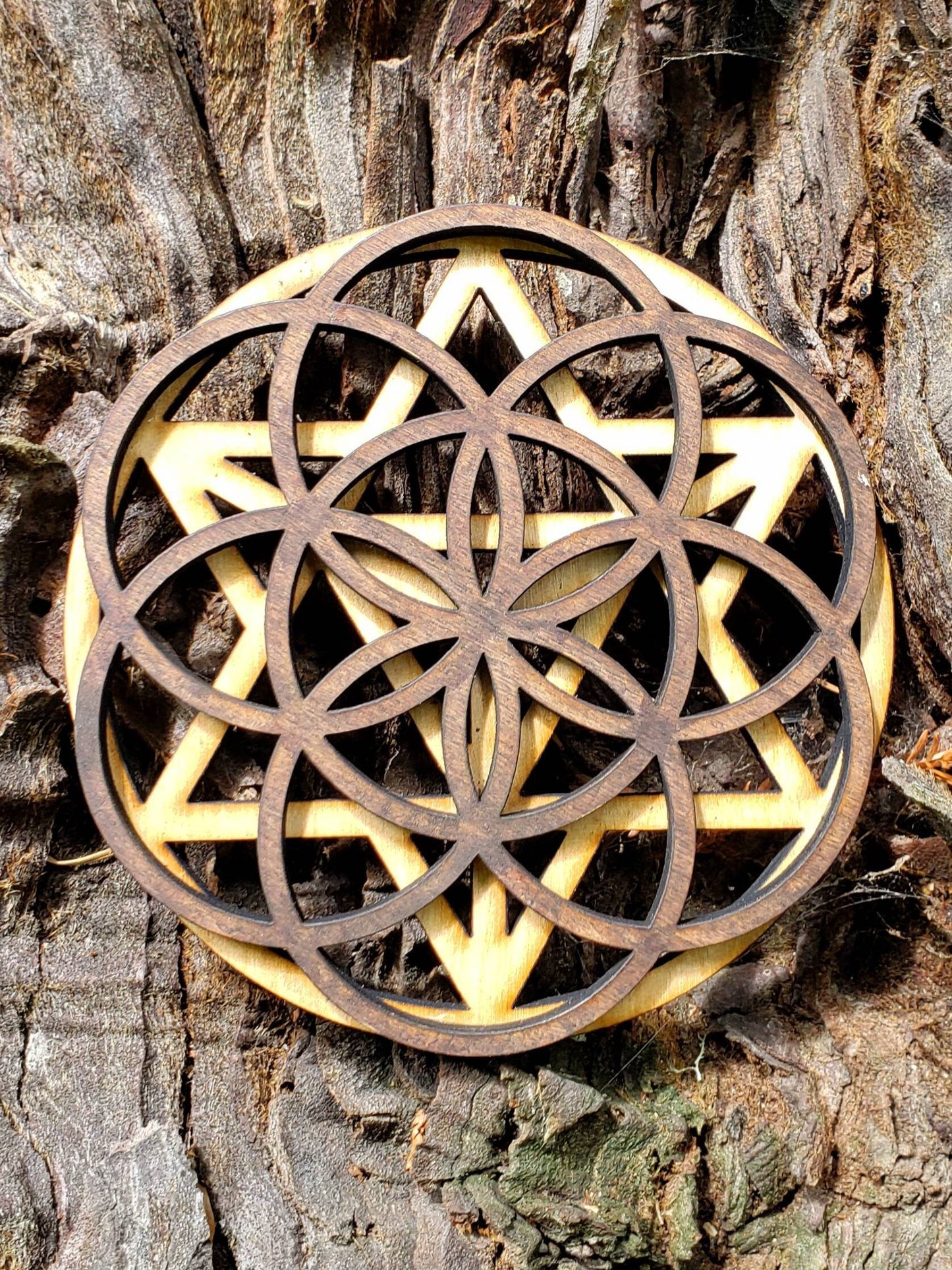 Mini Double Layer Sacred Geometry Wood Art or Crystal Grid - Star Tetrahedron - Seed of Life