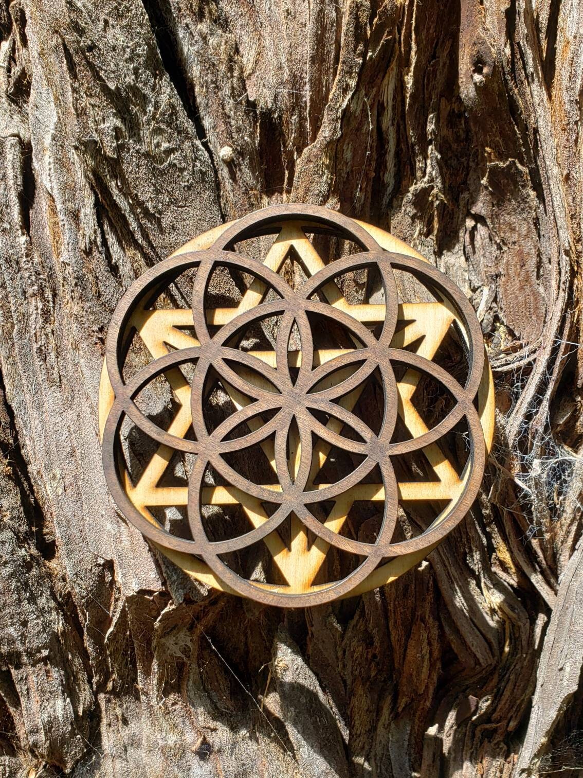 Mini Double Layer Sacred Geometry Wood Art or Crystal Grid - Star Tetrahedron - Seed of Life