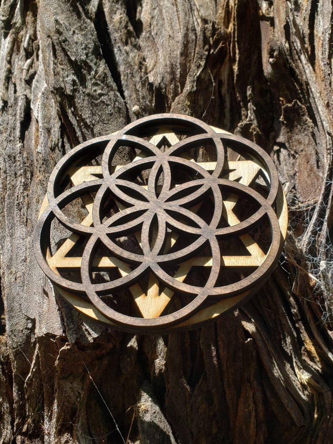 Mini Double Layer Sacred Geometry Wood Art or Crystal Grid - Star Tetrahedron - Seed of Life