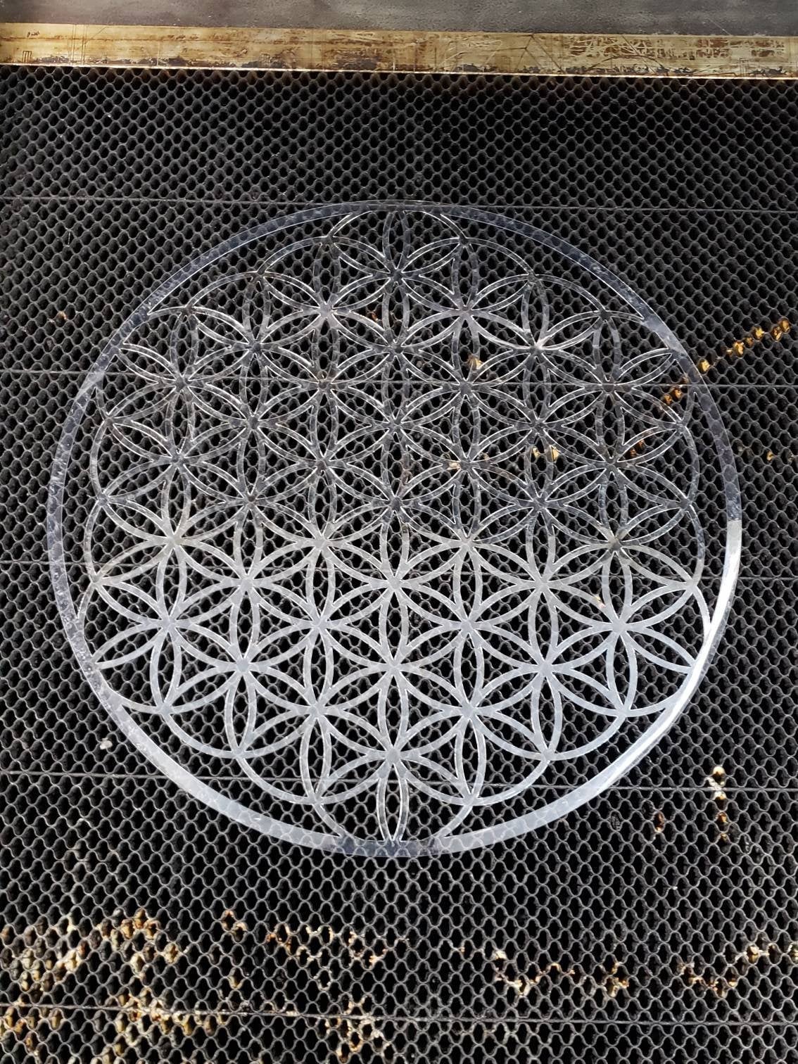 Full Bloom Flower of Life Laser Cut Sacred Geometry Stencil