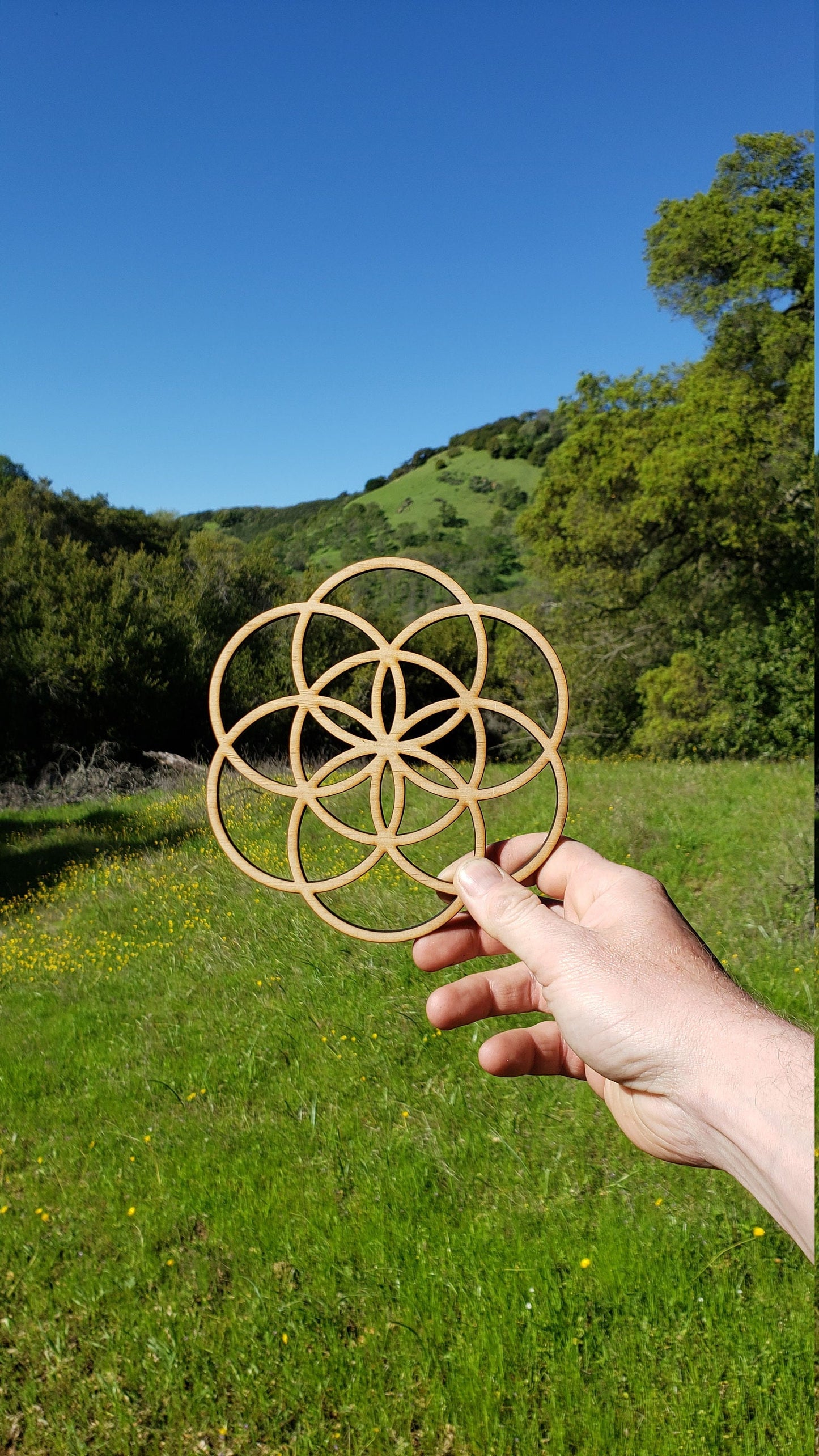 Mini Seed of Life Sustainable Wood Lasercut Wall Art or Crystal Grid