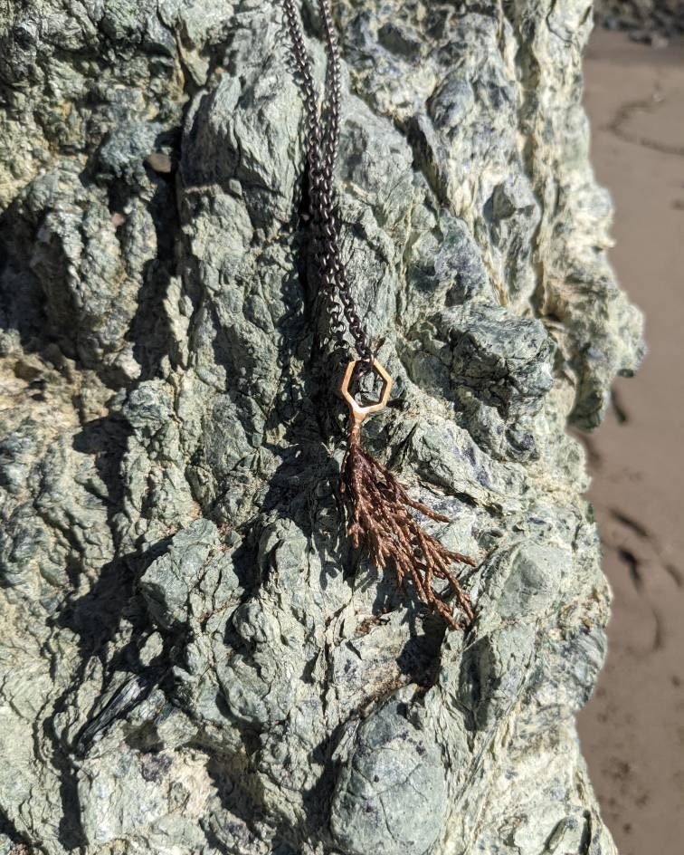 SALE - Monterey Cypress Leaf and Hexagon Cast Bronze Pendant with Gunmetal Finish Chain - NorCal Coast Style Minimalist Nature Layering Necklace