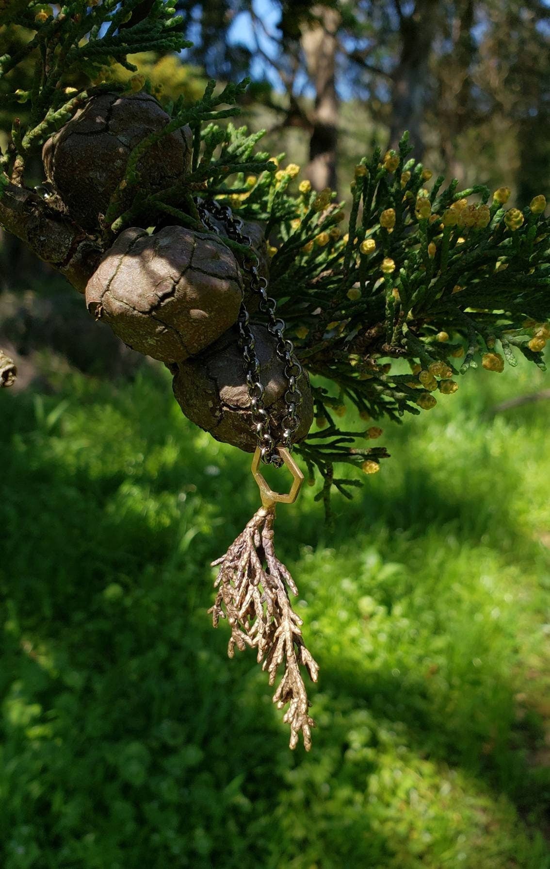 SALE - Monterey Cypress Leaf and Hexagon Cast Bronze Pendant with Gunmetal Finish Chain - NorCal Coast Style Minimalist Nature Layering Necklace