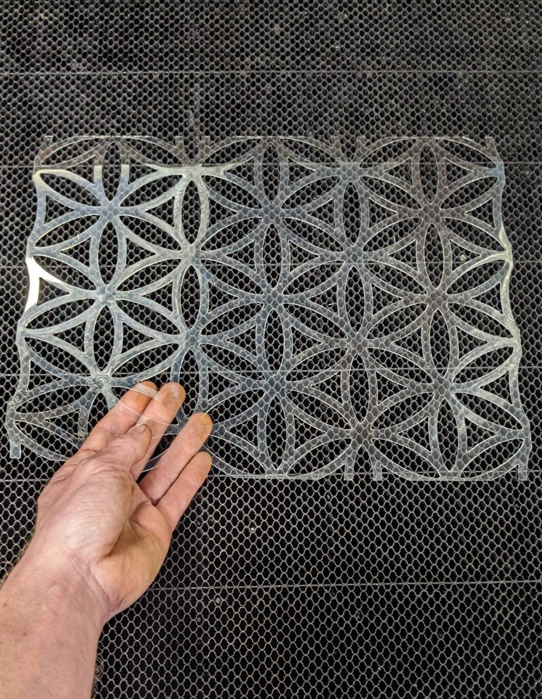 Flower of Life Laser Cut Reusable Wall Stencil