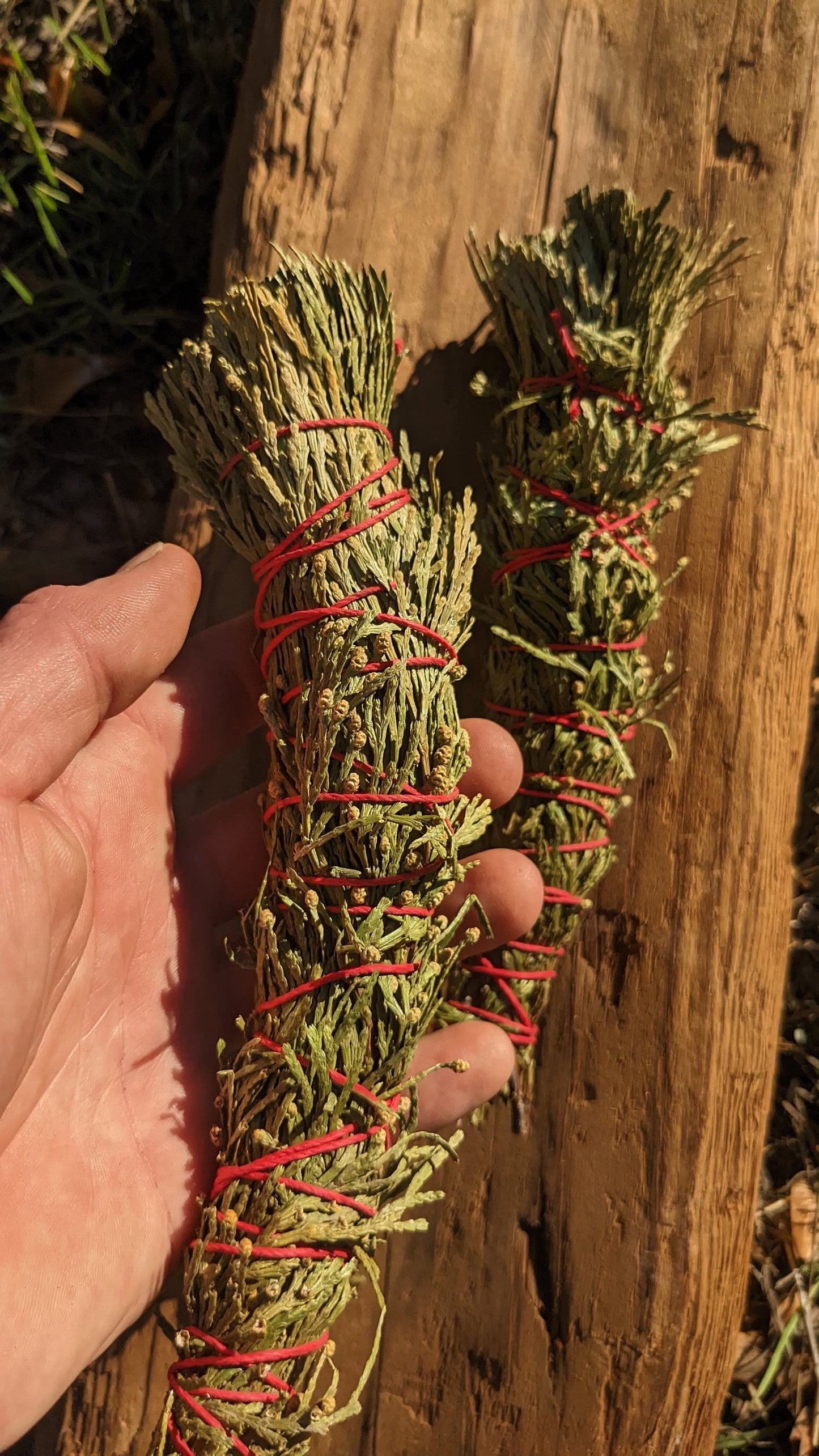 ONE California Incense Cedar Smoke Cleansing Bundle - Great Alternative to Endangered White Sage or Palo Santo