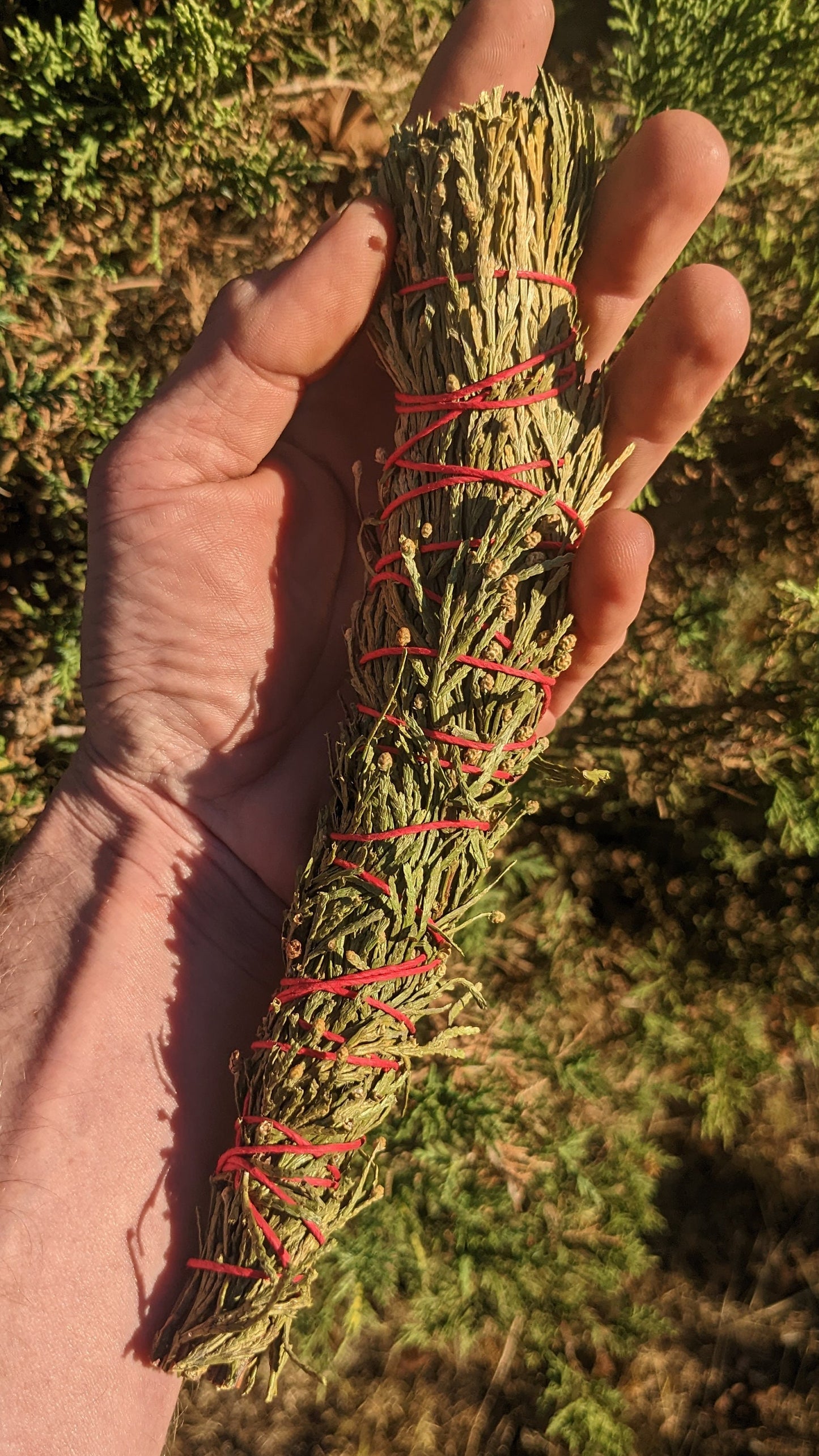 ONE California Incense Cedar Smoke Cleansing Bundle - Great Alternative to Endangered White Sage or Palo Santo