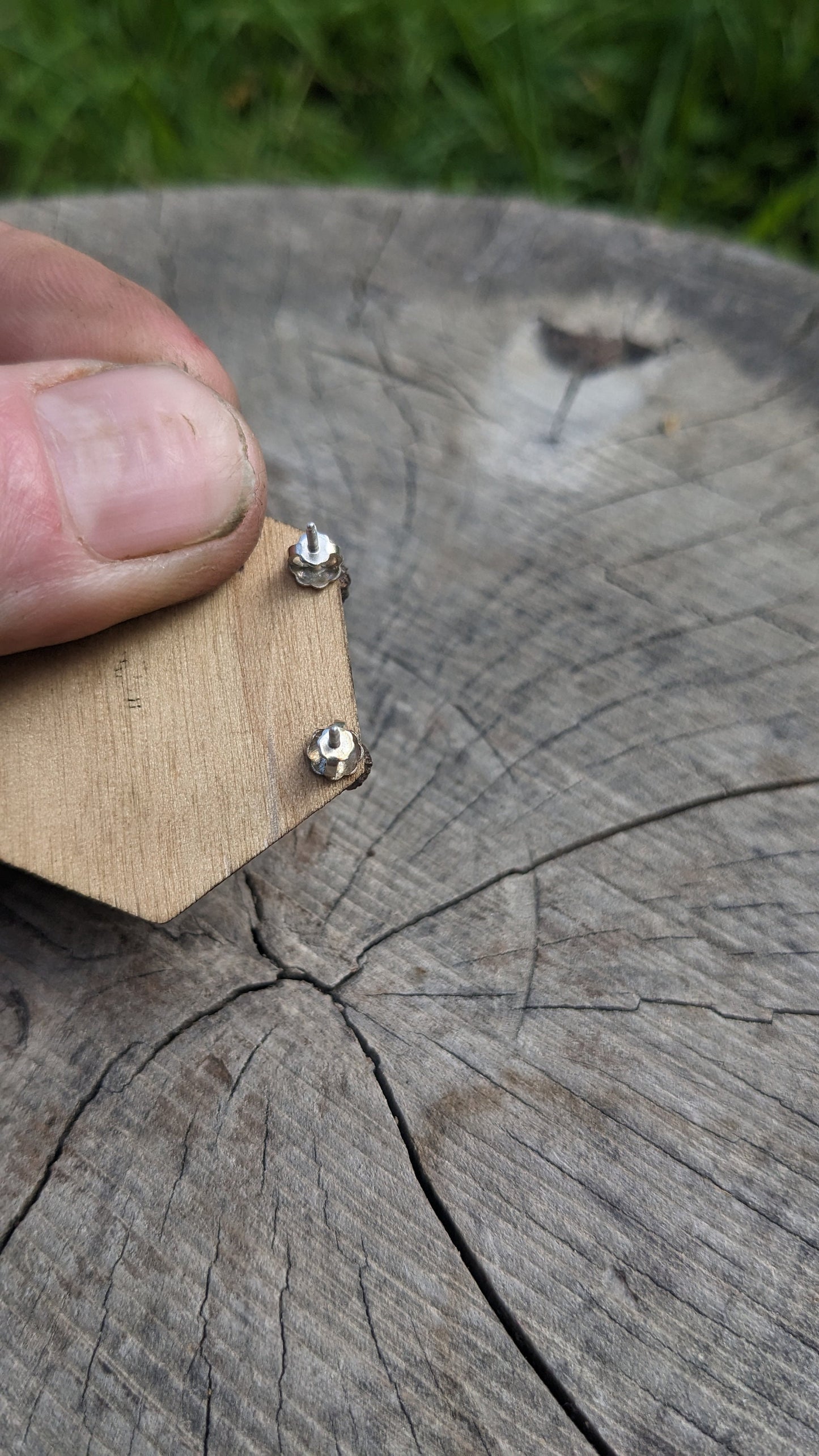 SALE - Peppercorn Stud Earrings - Mixed Metal Spice Jewelry in recycled Bronze and 925 Silver