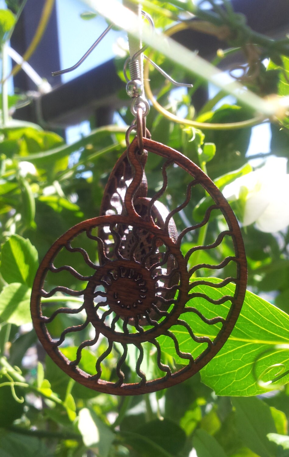 Ammonite Lasercut Wood Earrings - Nautilus