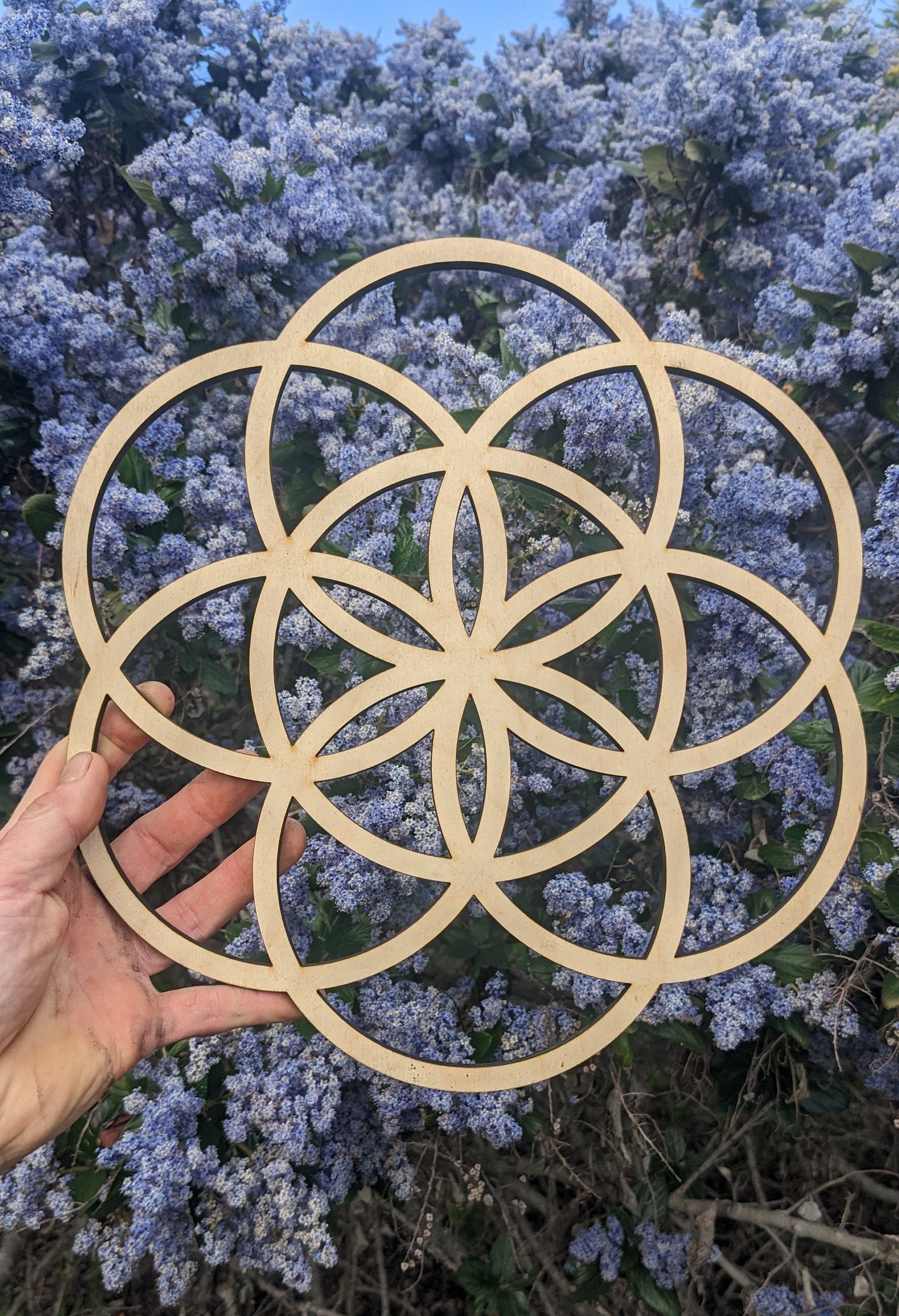 Seed of Life Sustainable Wood Lasercut Wall Art or Crystal Grid