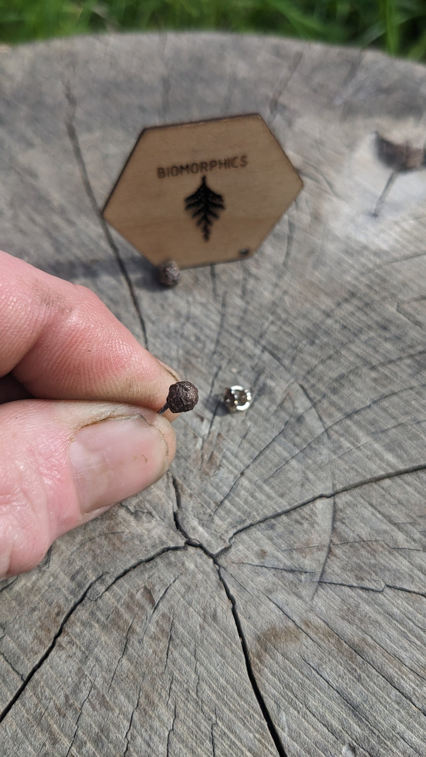 SALE - Peppercorn Stud Earrings - Mixed Metal Spice Jewelry in recycled Bronze and 925 Silver