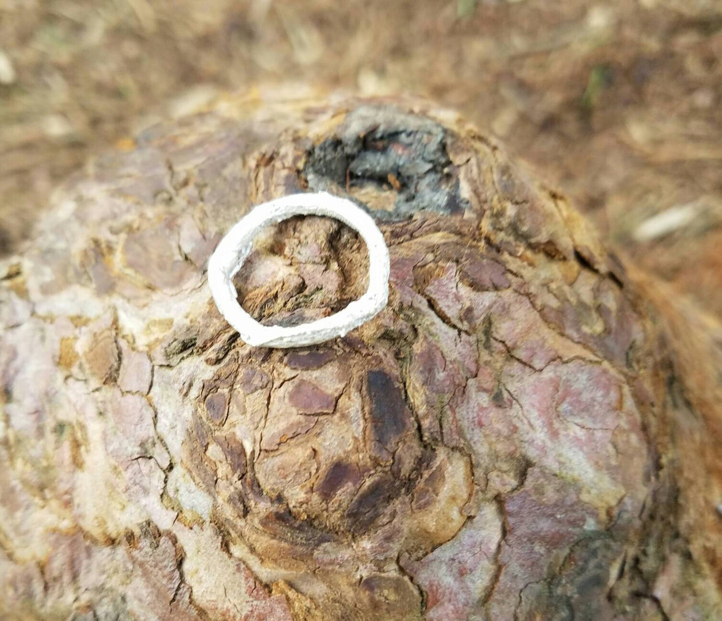 SALE - Western Redcedar Root Sterling Silver Ring - Northern California Nature Jewelry